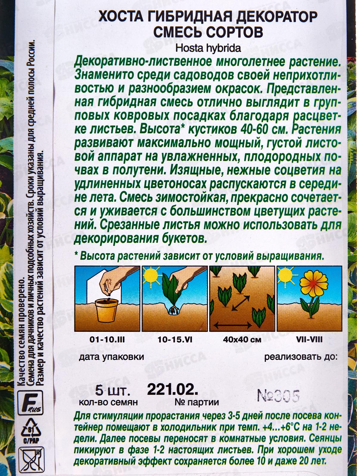 Хоста Декоратор,смесь окрасок *10 АЭЛИТА +