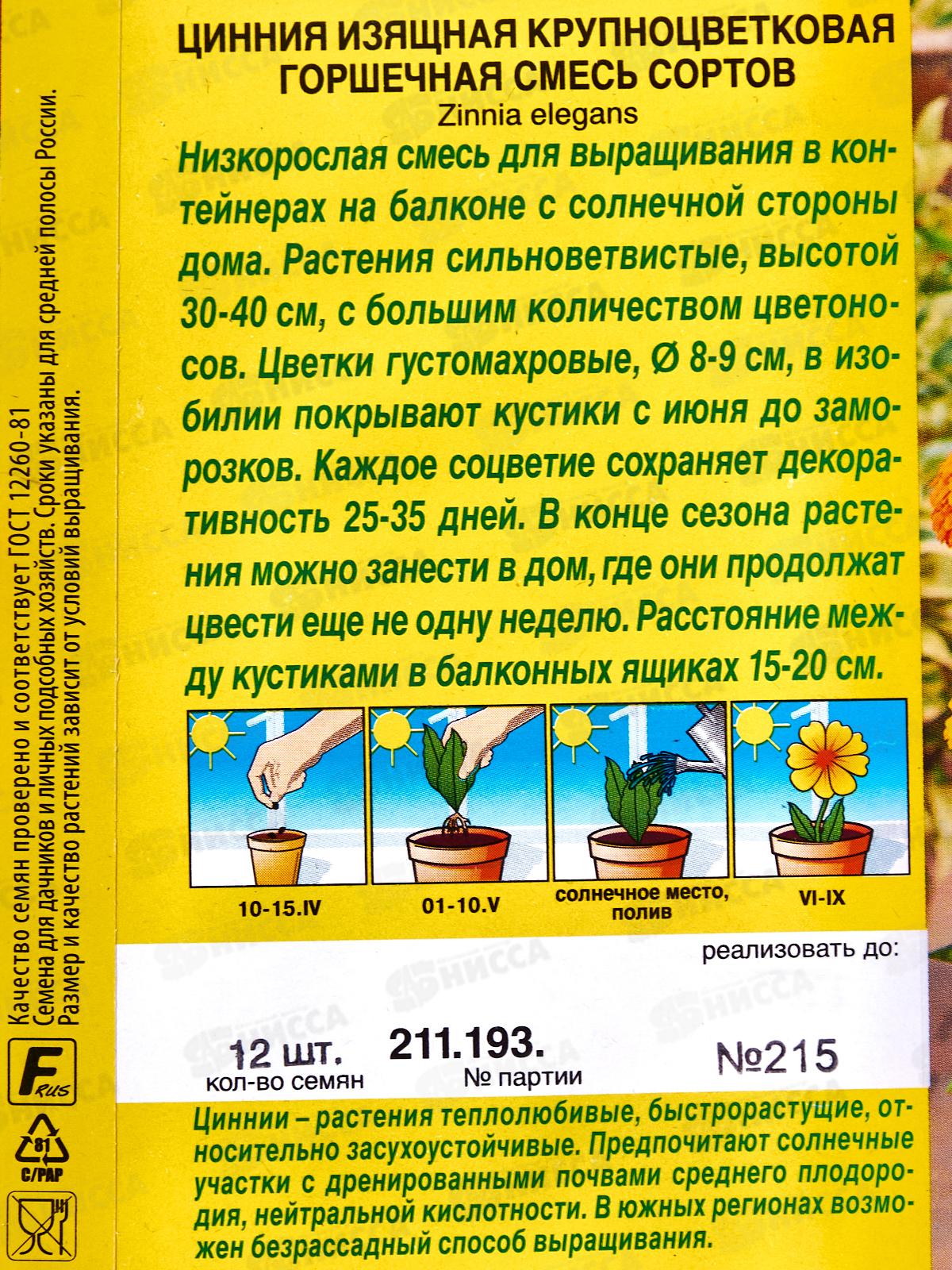 Цинния Крупноцветковая горшечная,смесь сортов *10 АЭЛИТА +