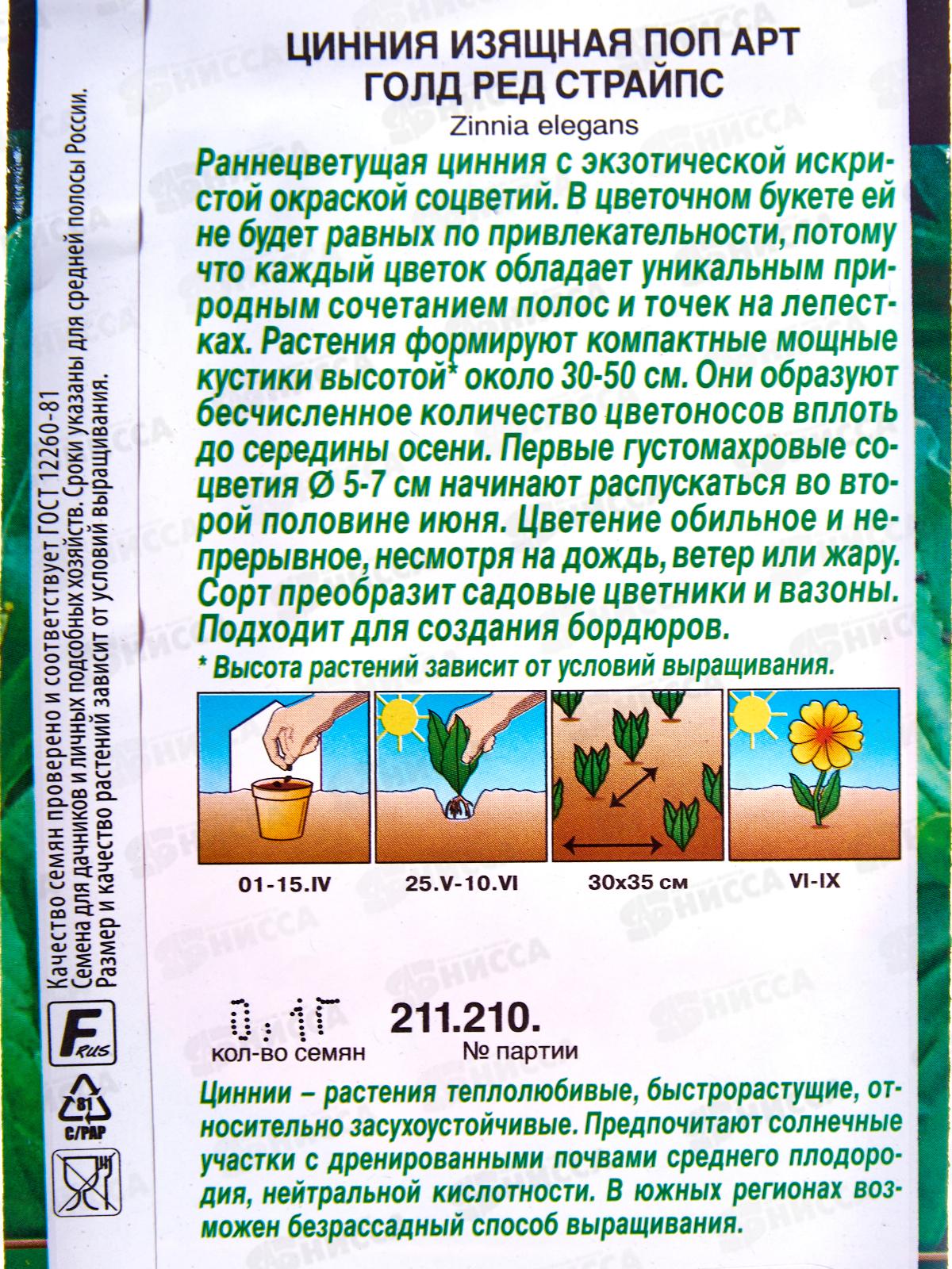 Цинния Поп арт голд ред страйпс *10 АЭЛИТА +