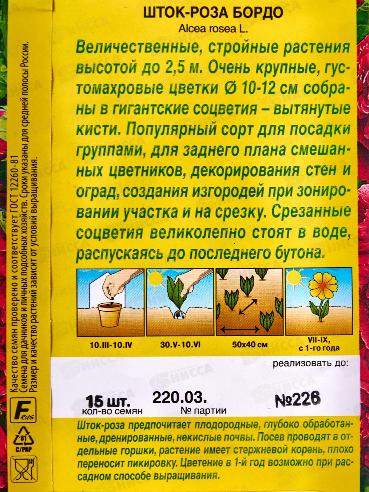 Шток роза Бордо *10 АЭЛИТА +