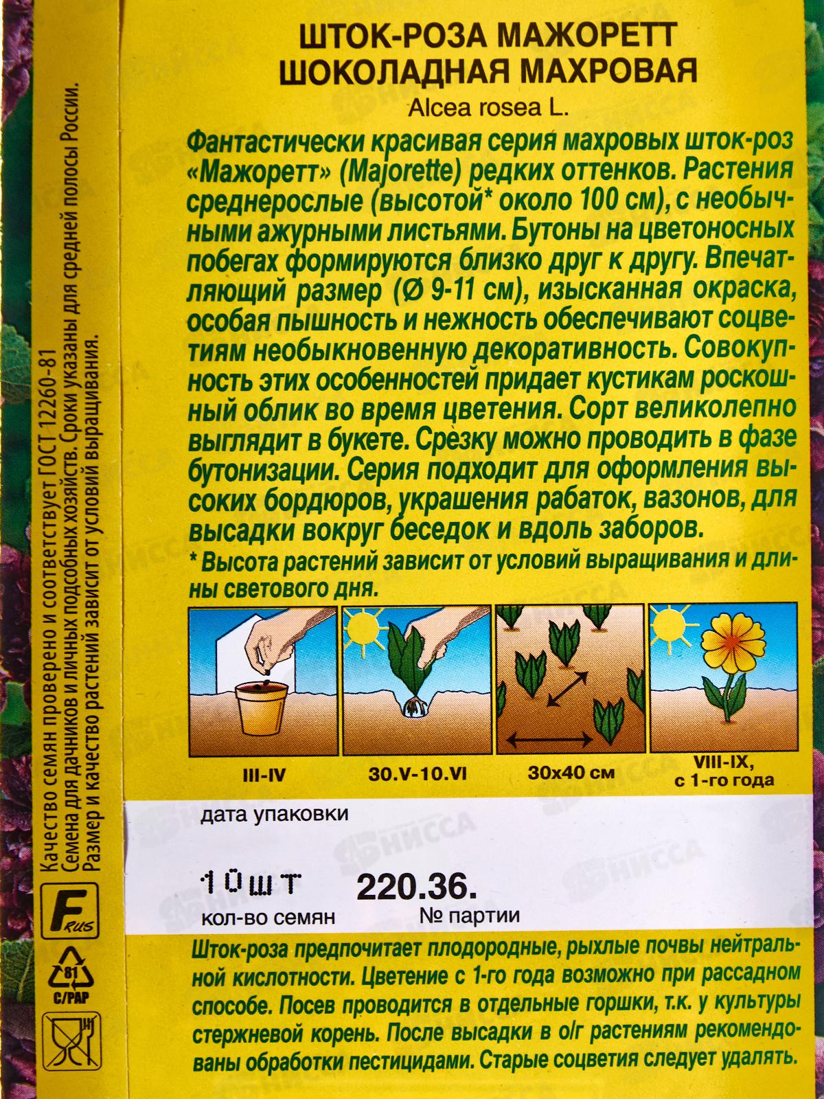 Шток роза Мажоретт махровая шоколадная *10 АЭЛИТА +