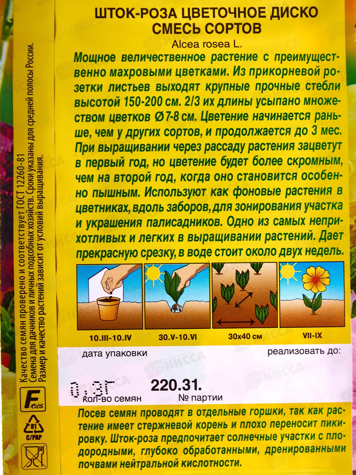Шток роза Цветное диско смесь сортов *10 АЭЛИТА