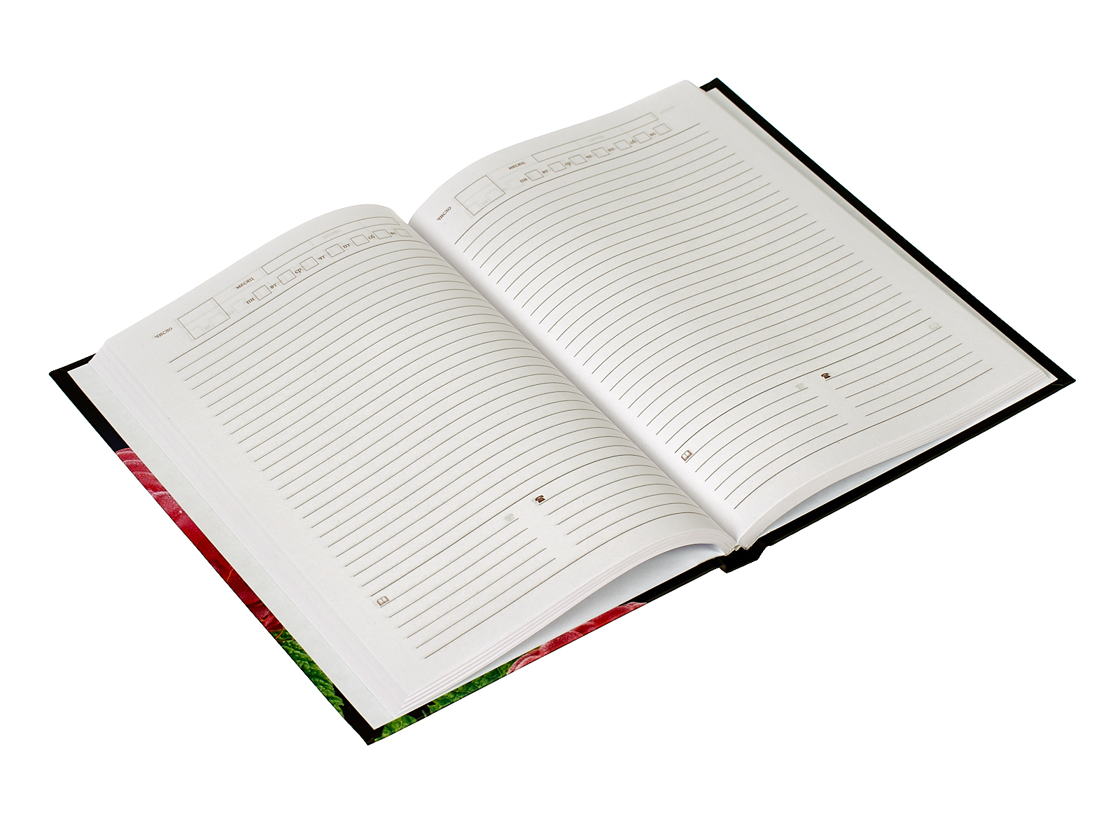 Ежедневник учителя Апплика А5,288стр ,Малинка, С0594-139