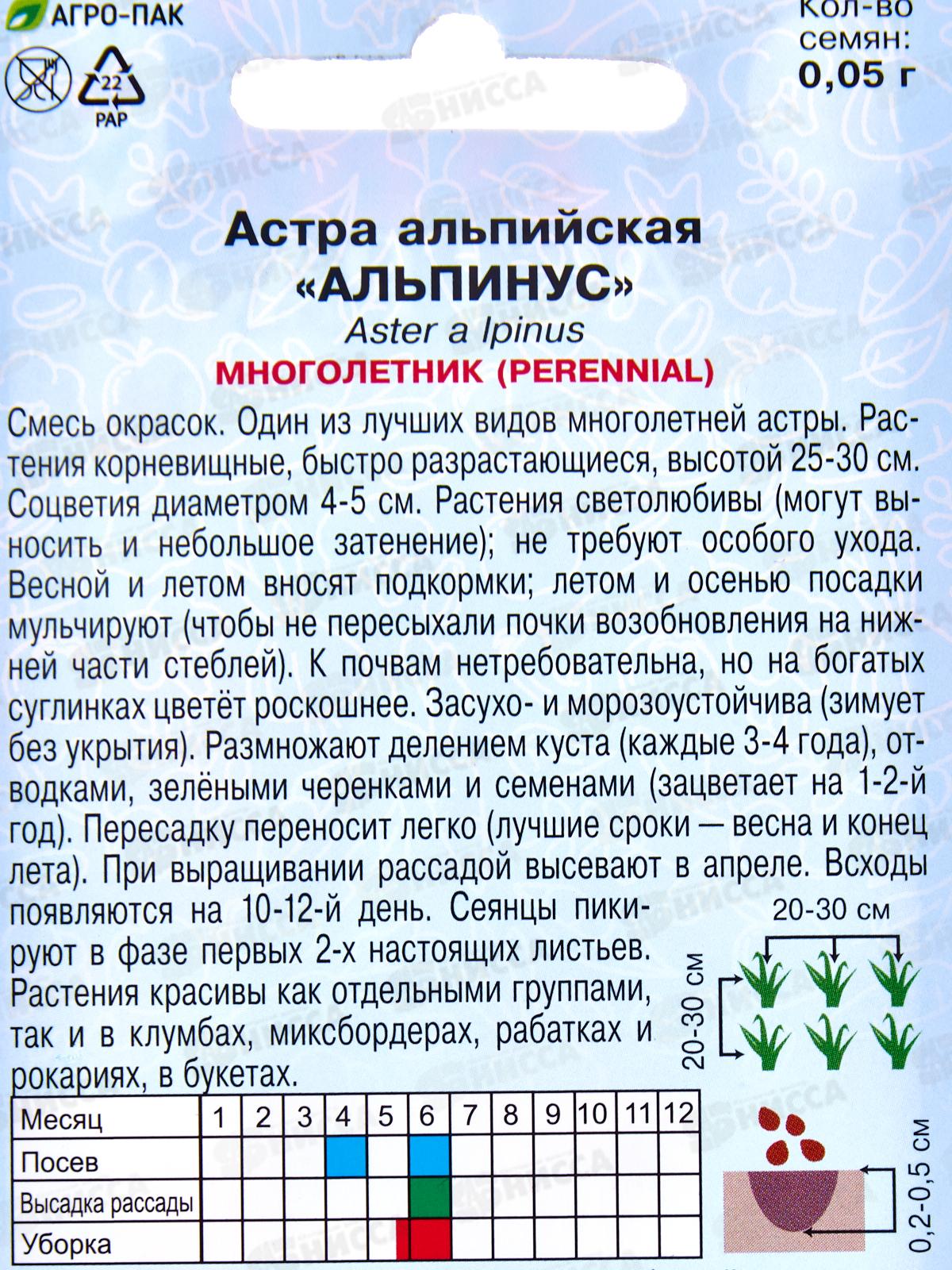 Астра Альпинус альпийская 0,05г *10  АРТ +