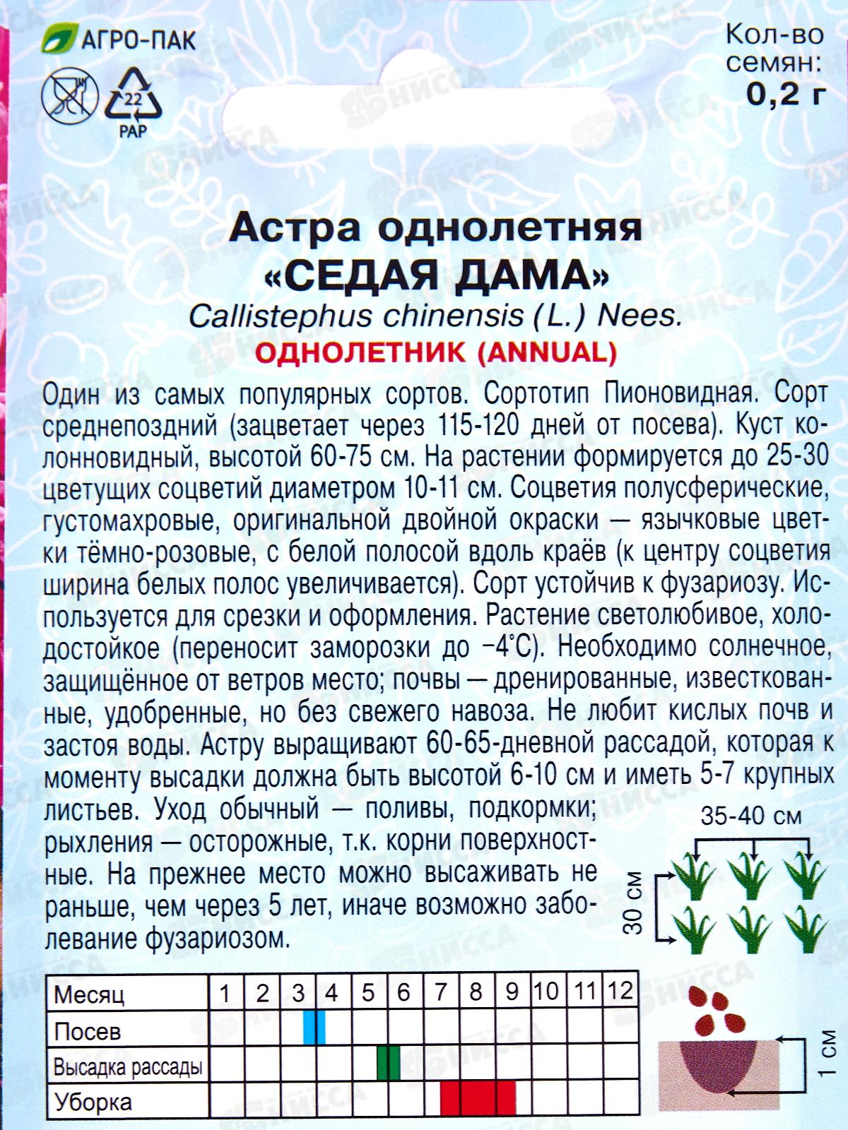 Астра Седая Дама 0,2г *10  АРТ +