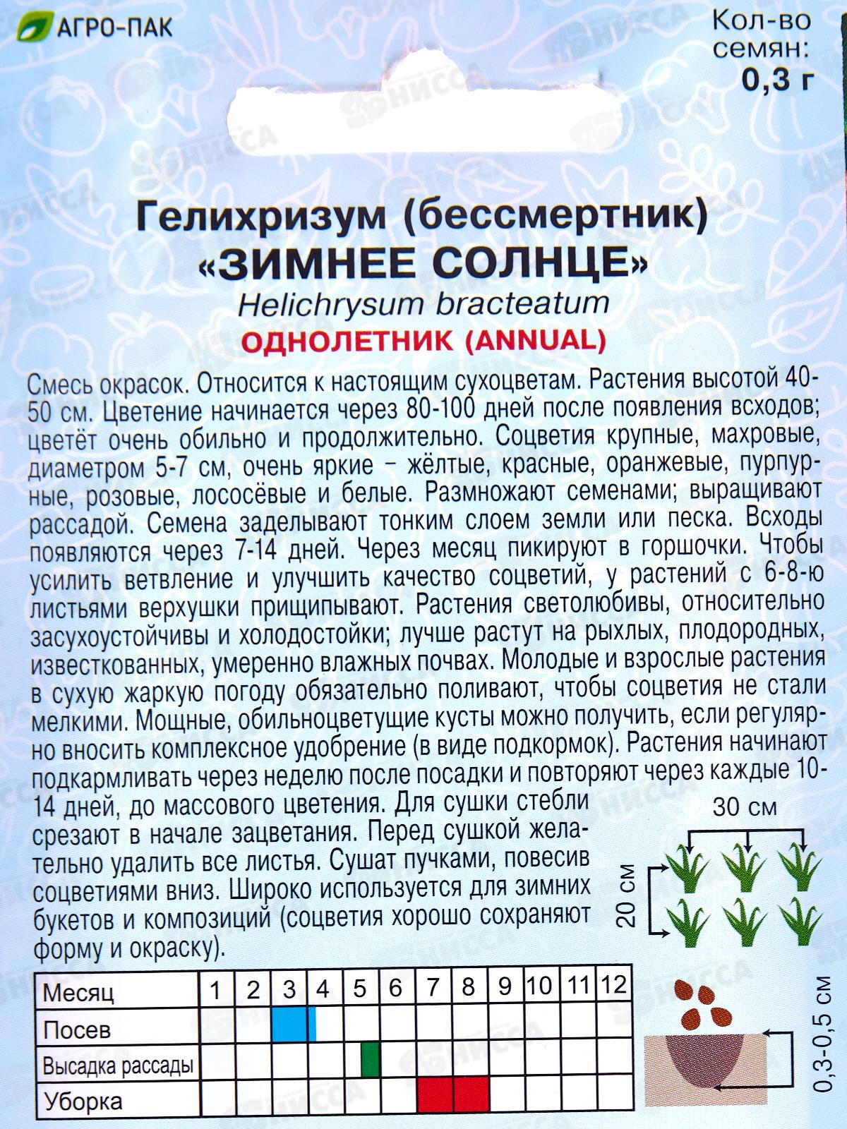 Гелихризум Зимнее солнце 0,3г *10  АРТ +