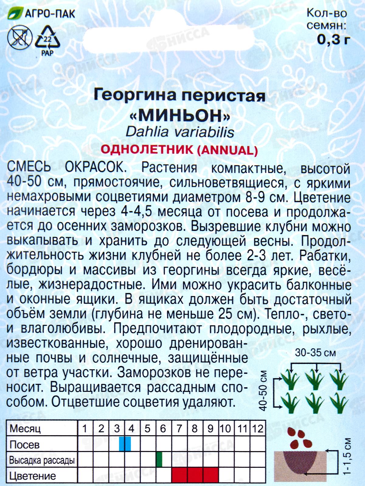 Георгина Миньон 0,3г *10  АРТ