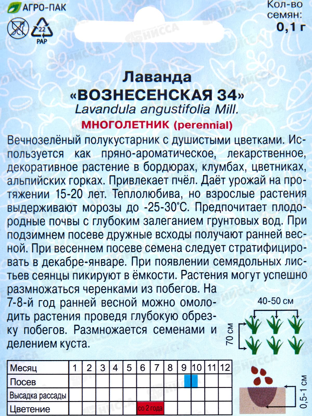Лаванда Вознесенская 34 0,1г *10  АРТ +