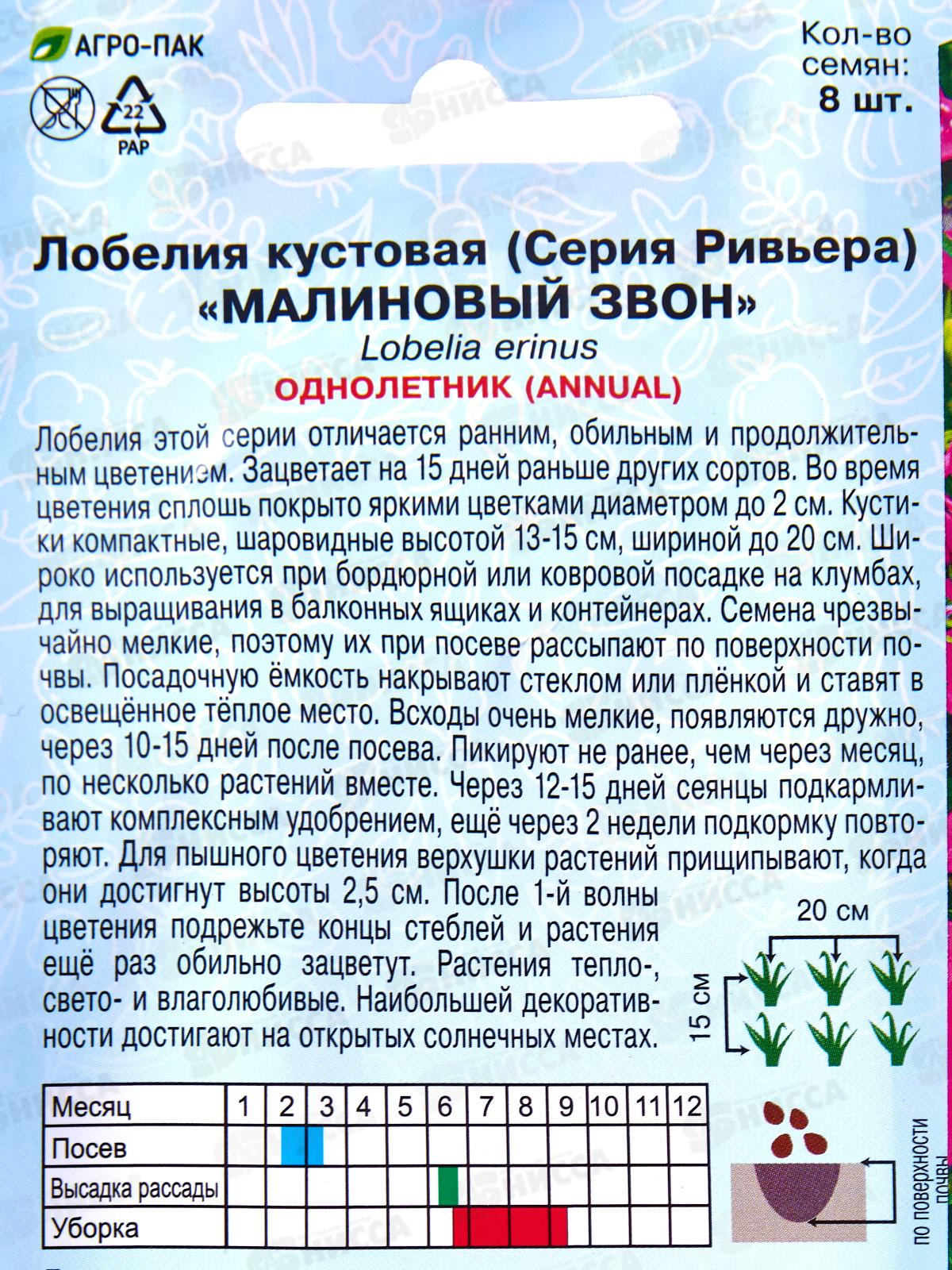 Лобелия Малиновый звон амп 8шт *10  АРТ