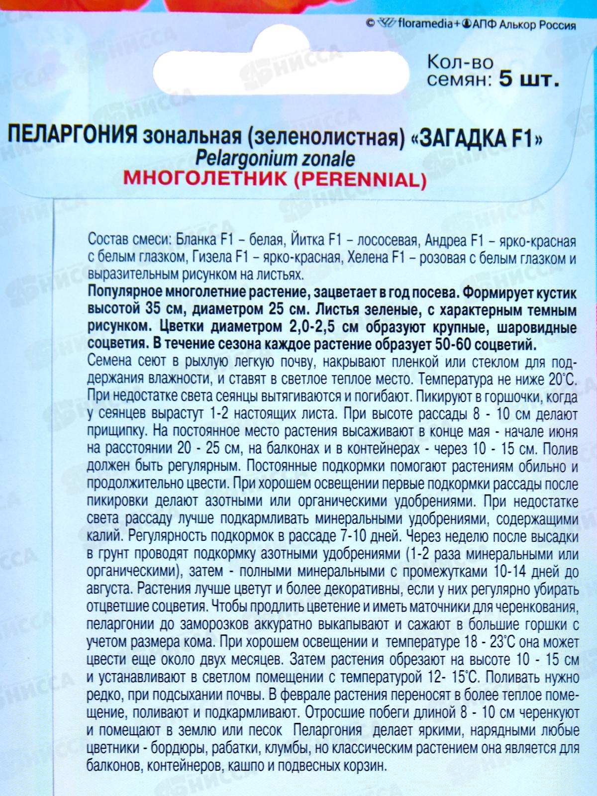Пеларгония Загадка F1 5шт *10  АРТ +