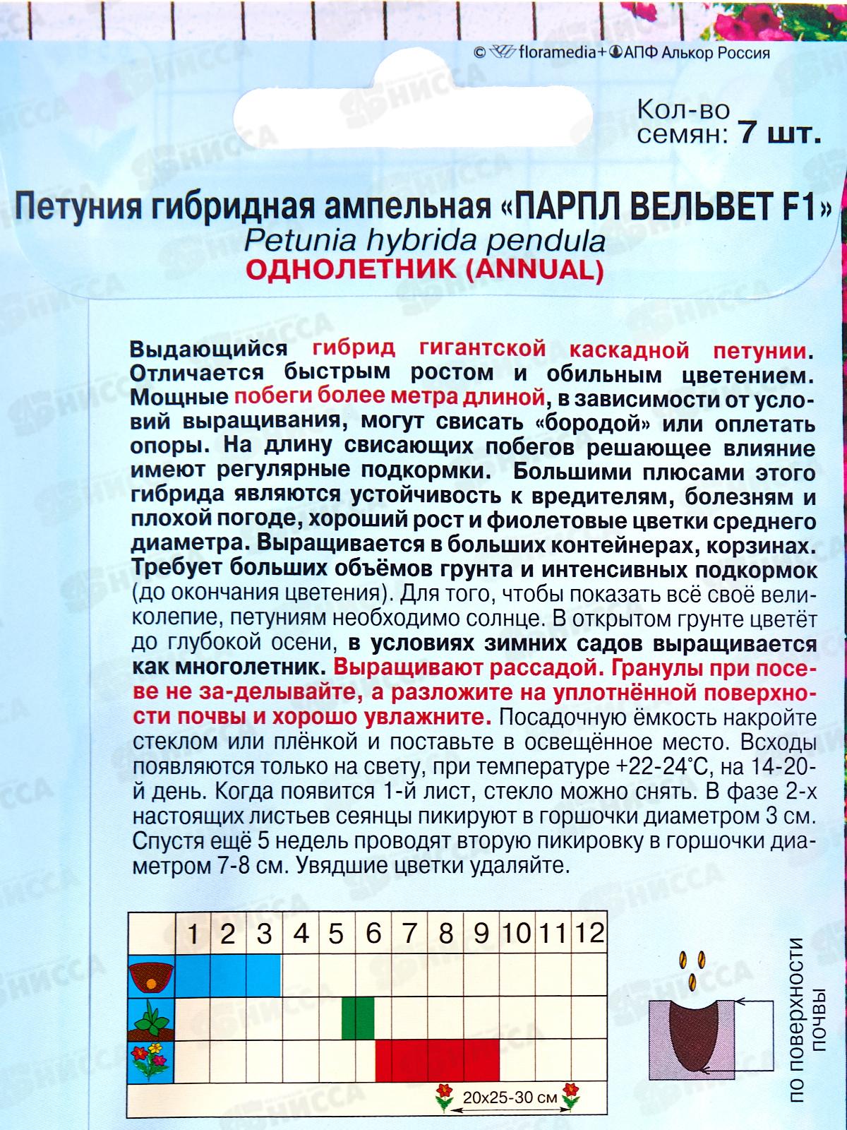Петуния Парпл Вельвет F1 7шт *10  АРТ +