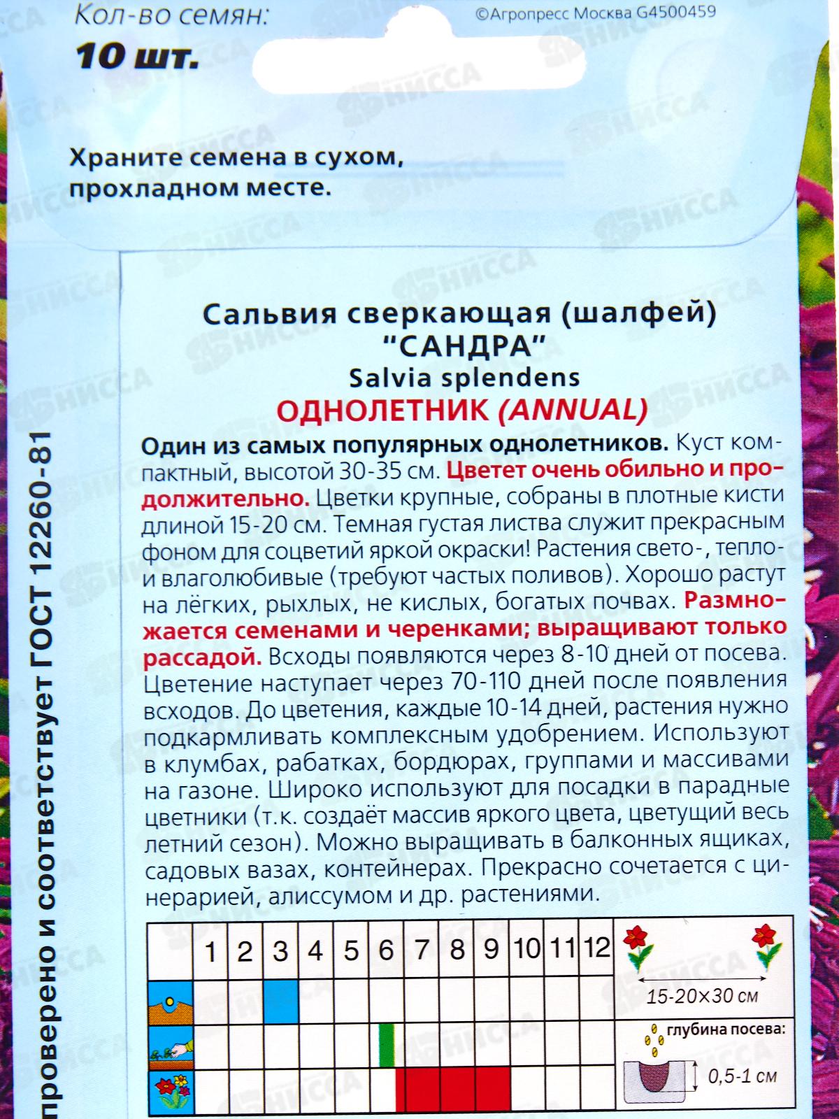 Сальвия Сандра сверк 10шт *10  АРТ +