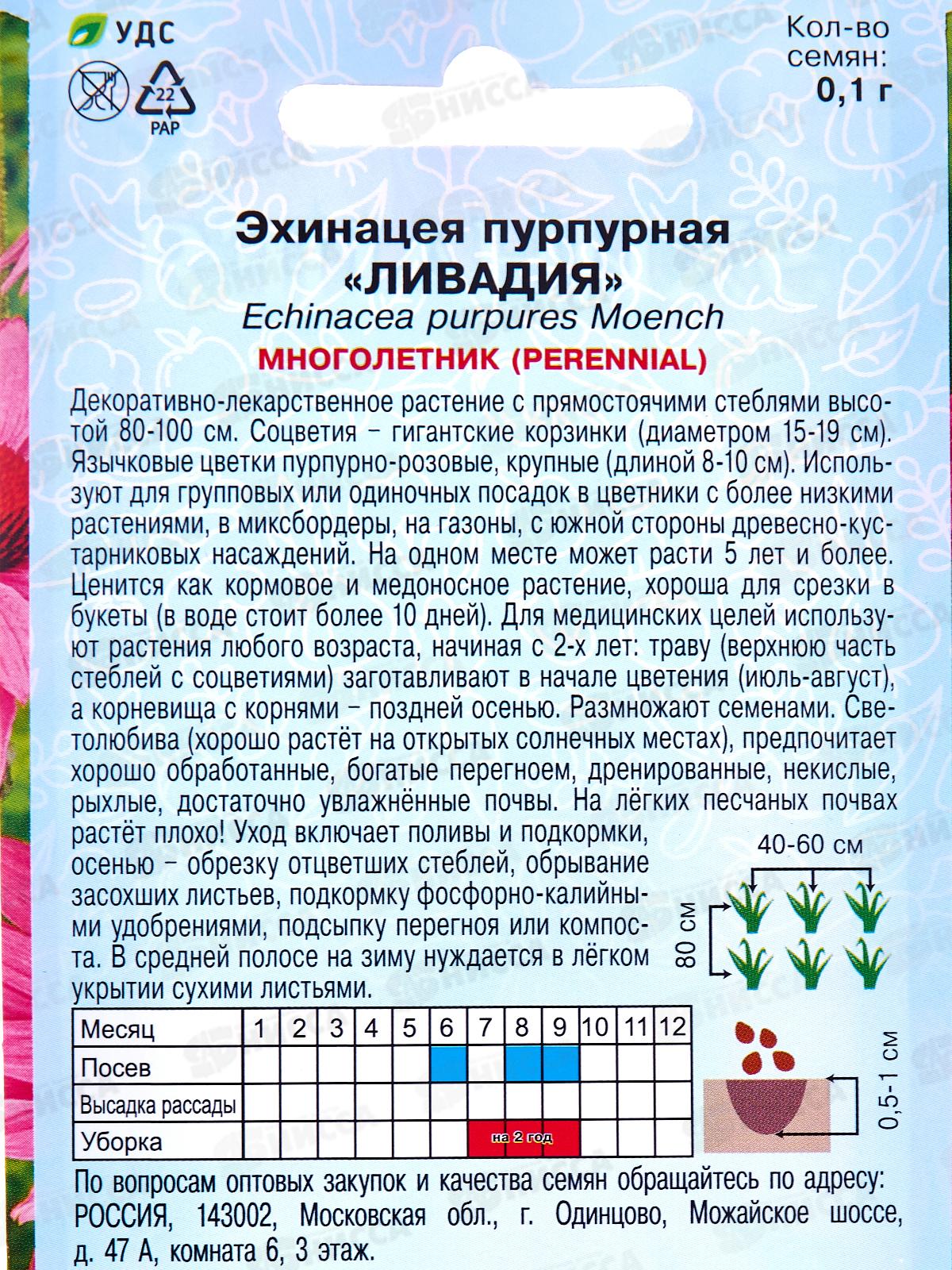 Эхинацея Ливадия пурпурная 0,1г *10  АРТ +