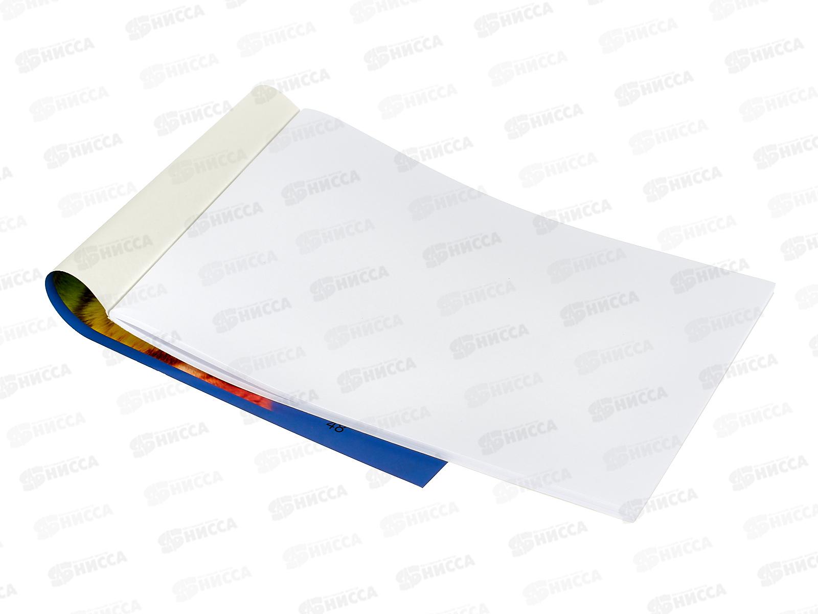 Альбом для рисования 48л SVETOCH Большие кошки, 000268  *5/25