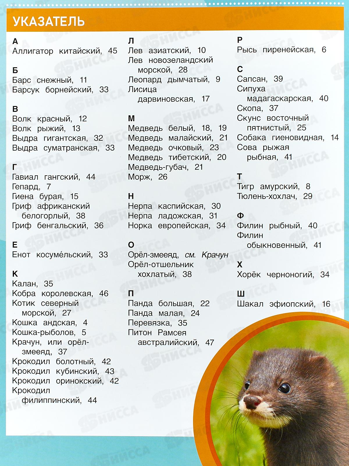 Энциклопедия 09072-4 Умка: Животные. Редкие хищники, 48стр. *15