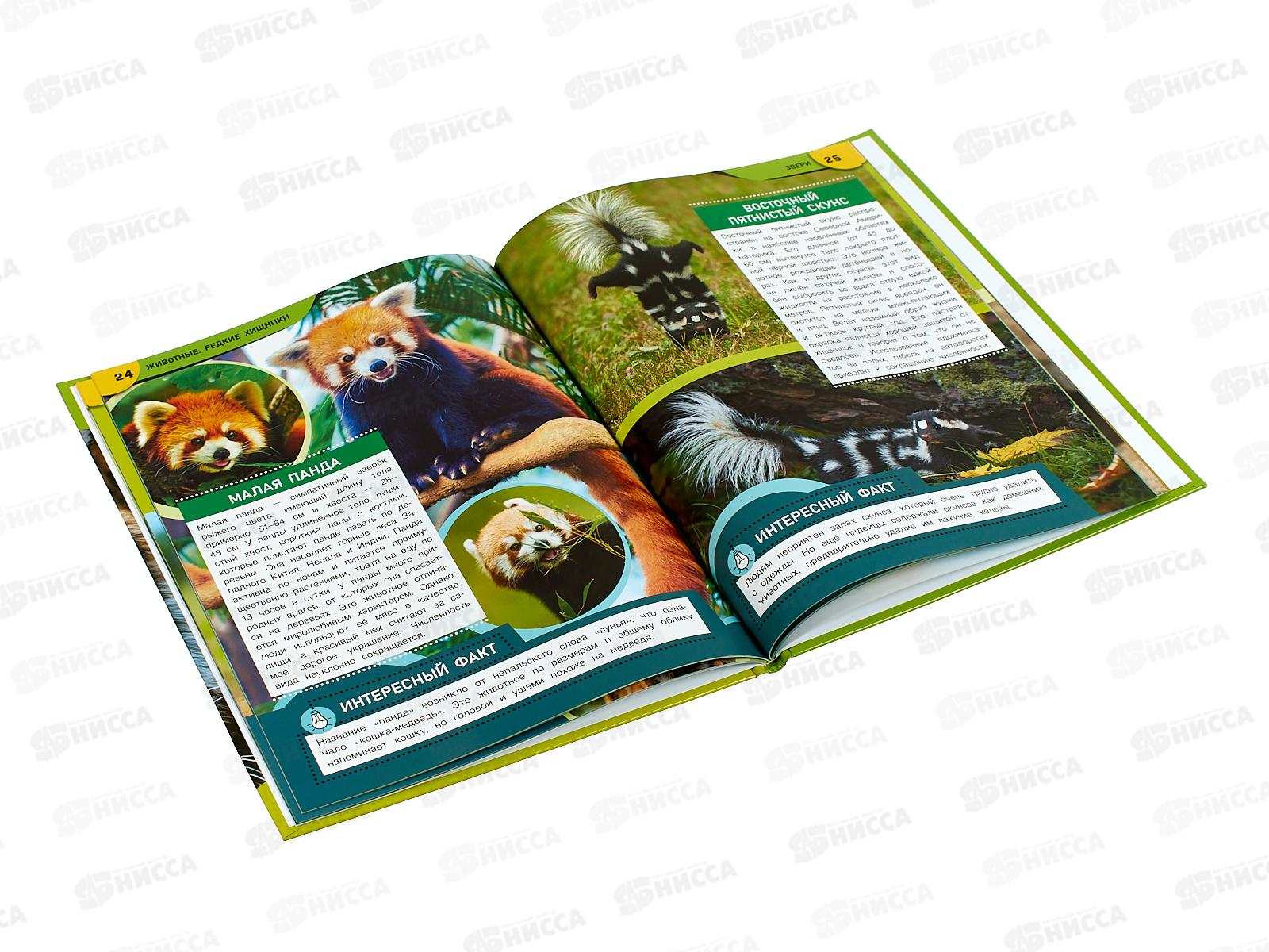 Энциклопедия 09072-4 Умка: Животные. Редкие хищники, 48стр. *15