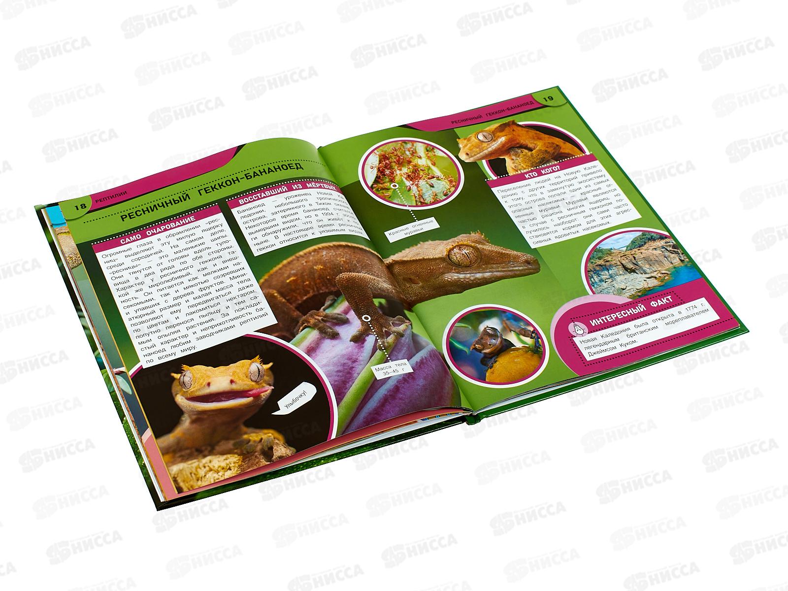 Энциклопедия 09109-7 Самые необычные рептилии и амфибии. 48стр. *15