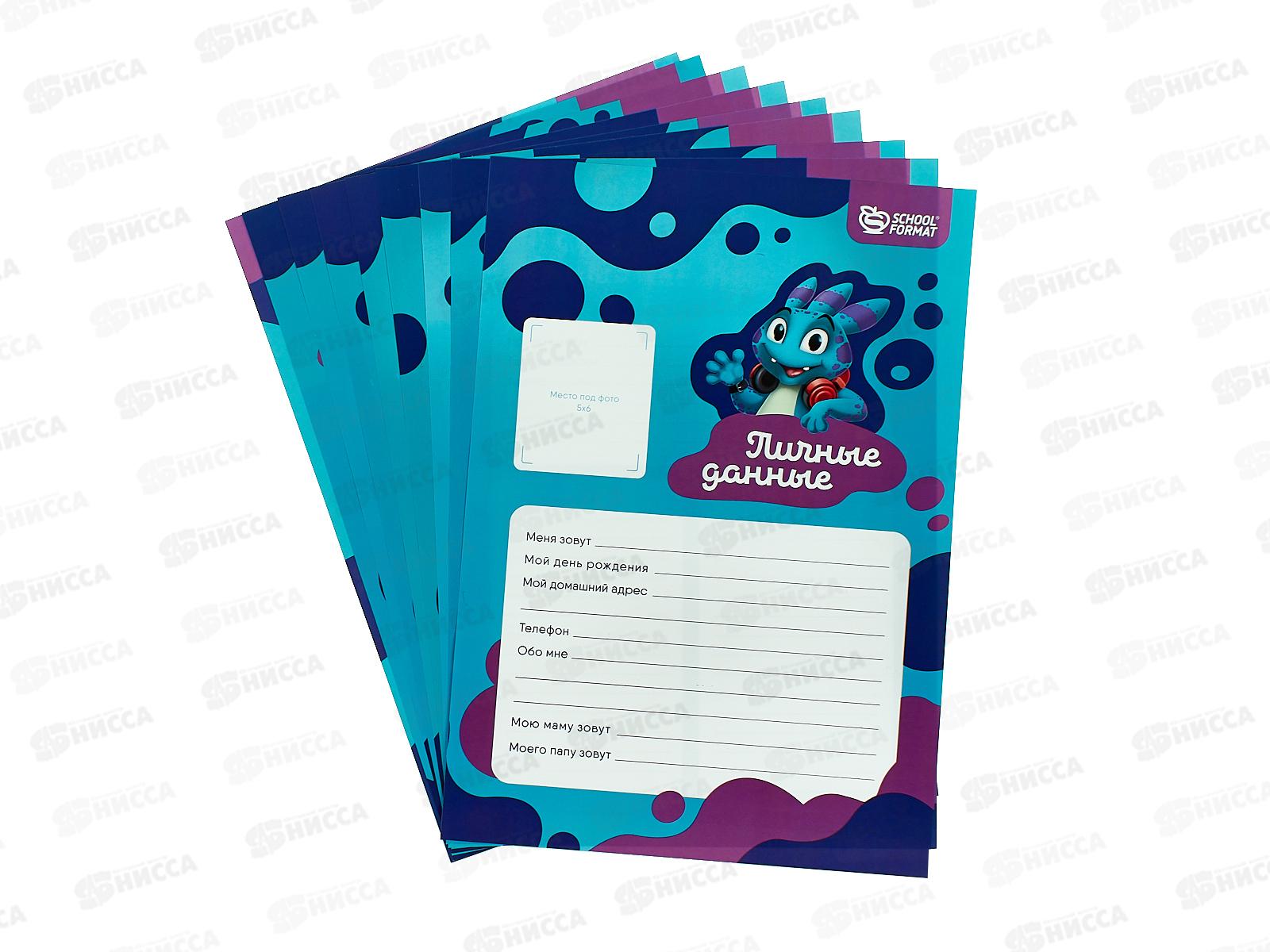 Листы-вкладыши д/портфолио Scoolformat,А4,10л.,ПРУ-10ЛС *5/60