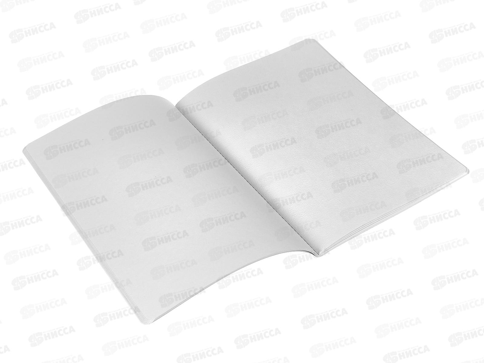 Скетчбук ПП А4 20л Выступление балерин - 1, 20-0310