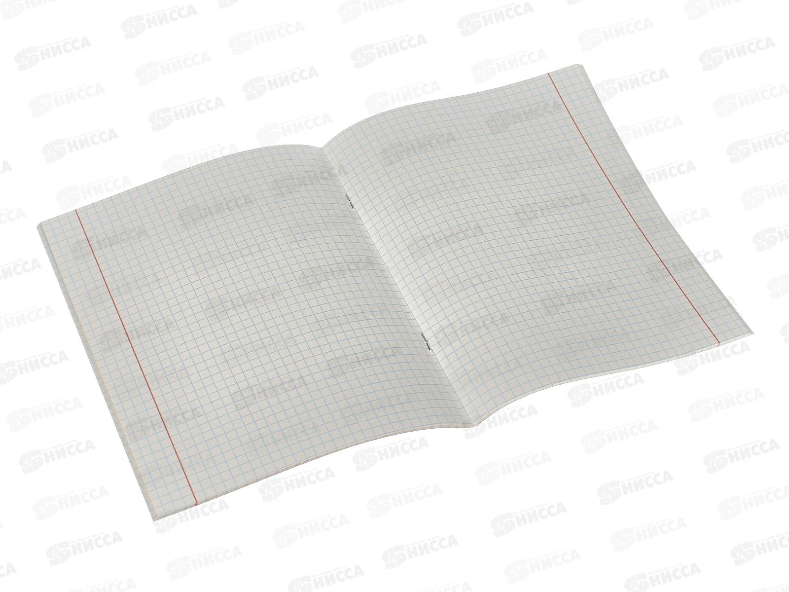 Тетрадь 36л клетка Remix Портретное фото кота, второй блок, 36-5766 *120