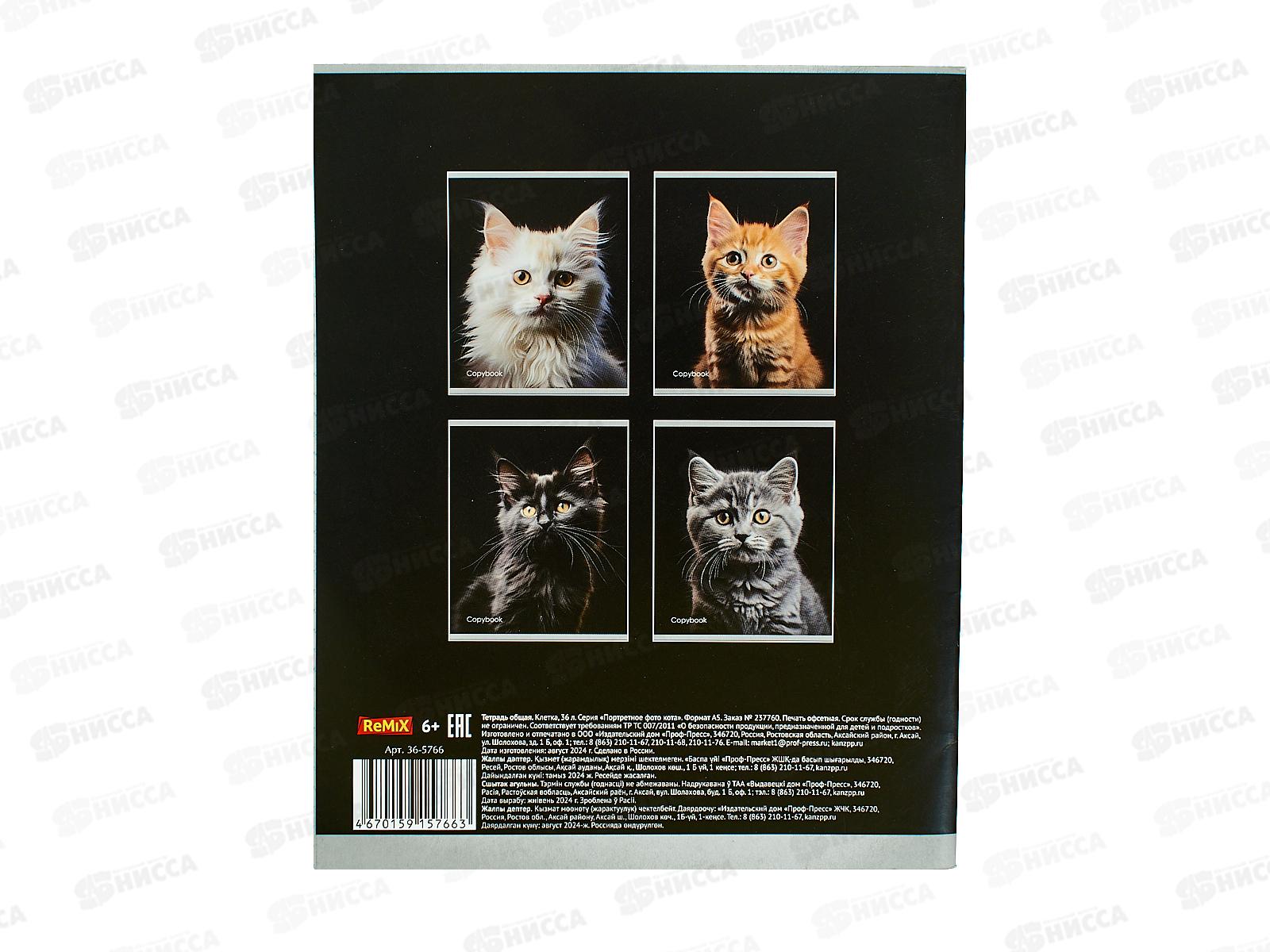 Тетрадь 36л клетка Remix Портретное фото кота, второй блок, 36-5766 *120