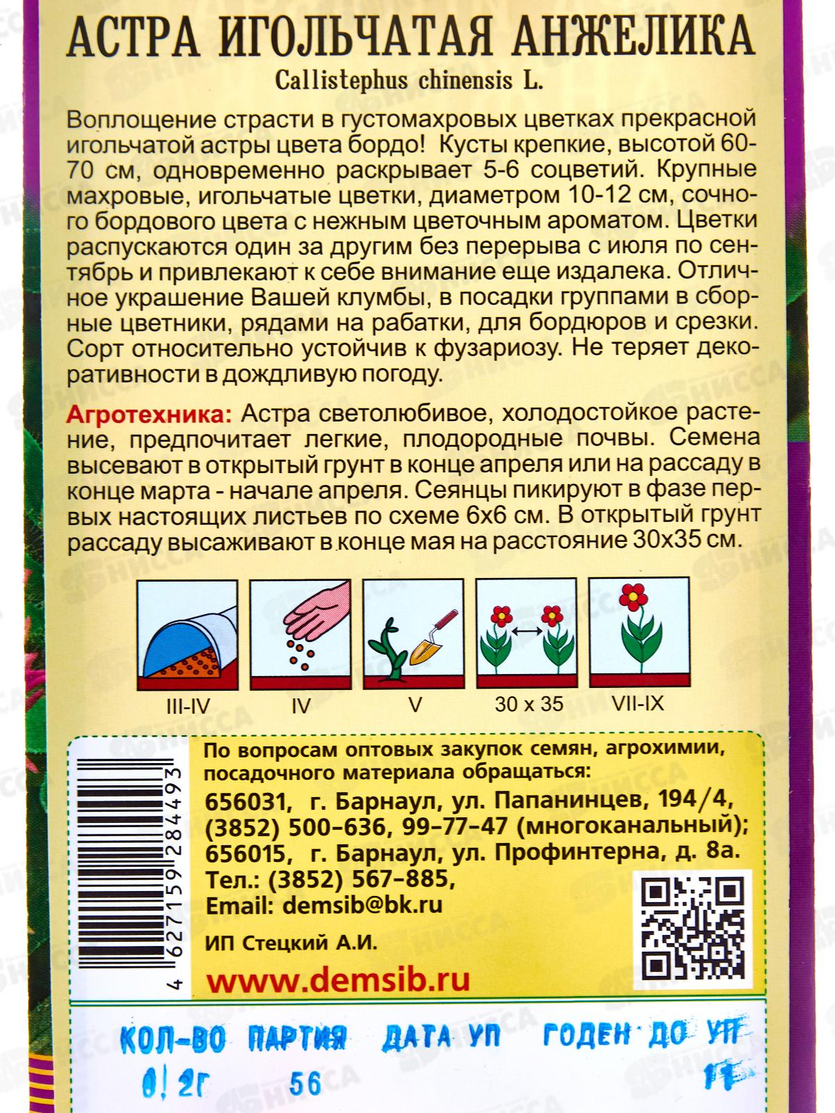 Астра Анжелика игольчатая (0,2гр) ДемСиб  *10 +