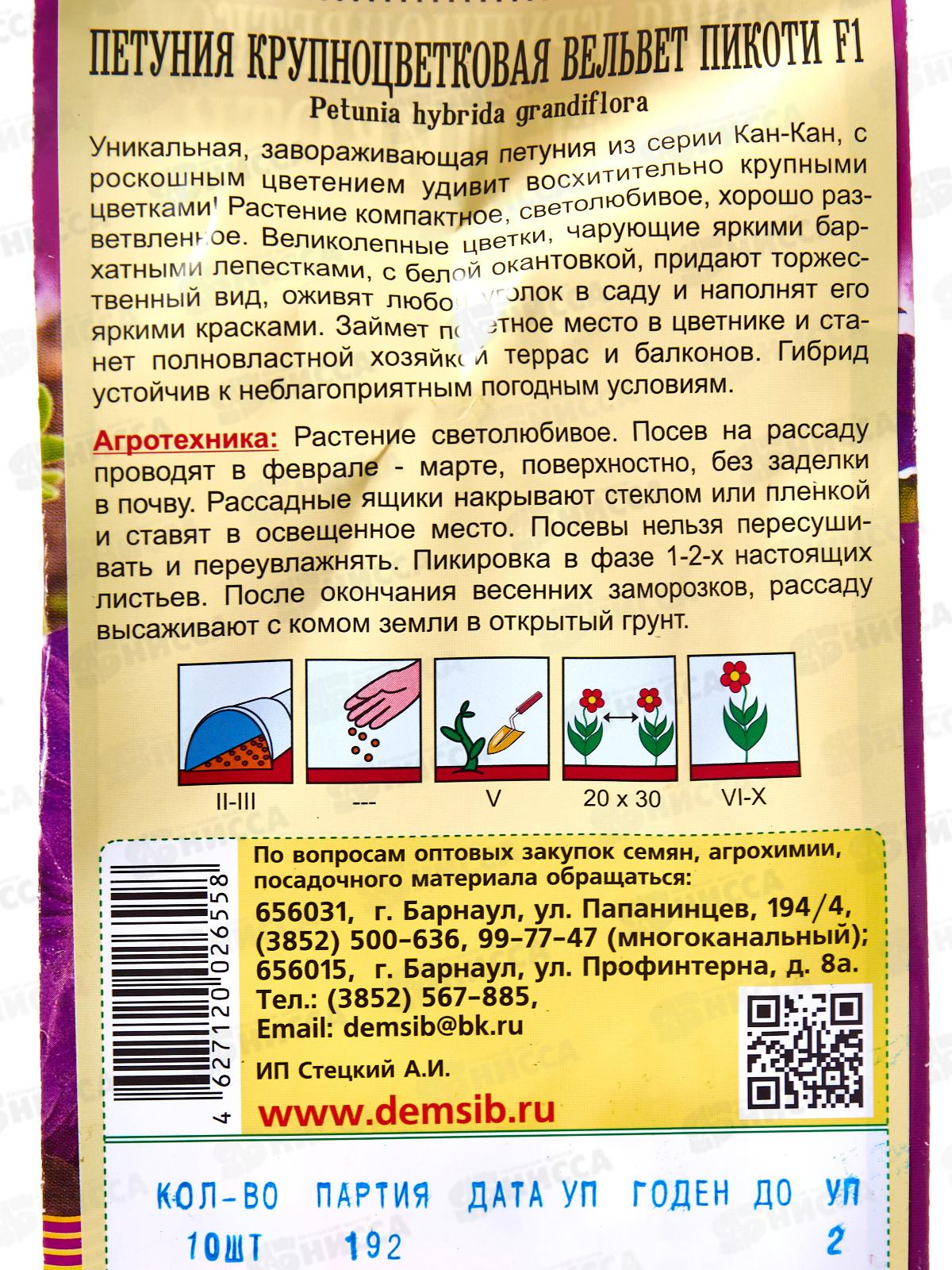 Петуния Вельвет Пикоти F1 крупноцветковая ДемСиб *10 +