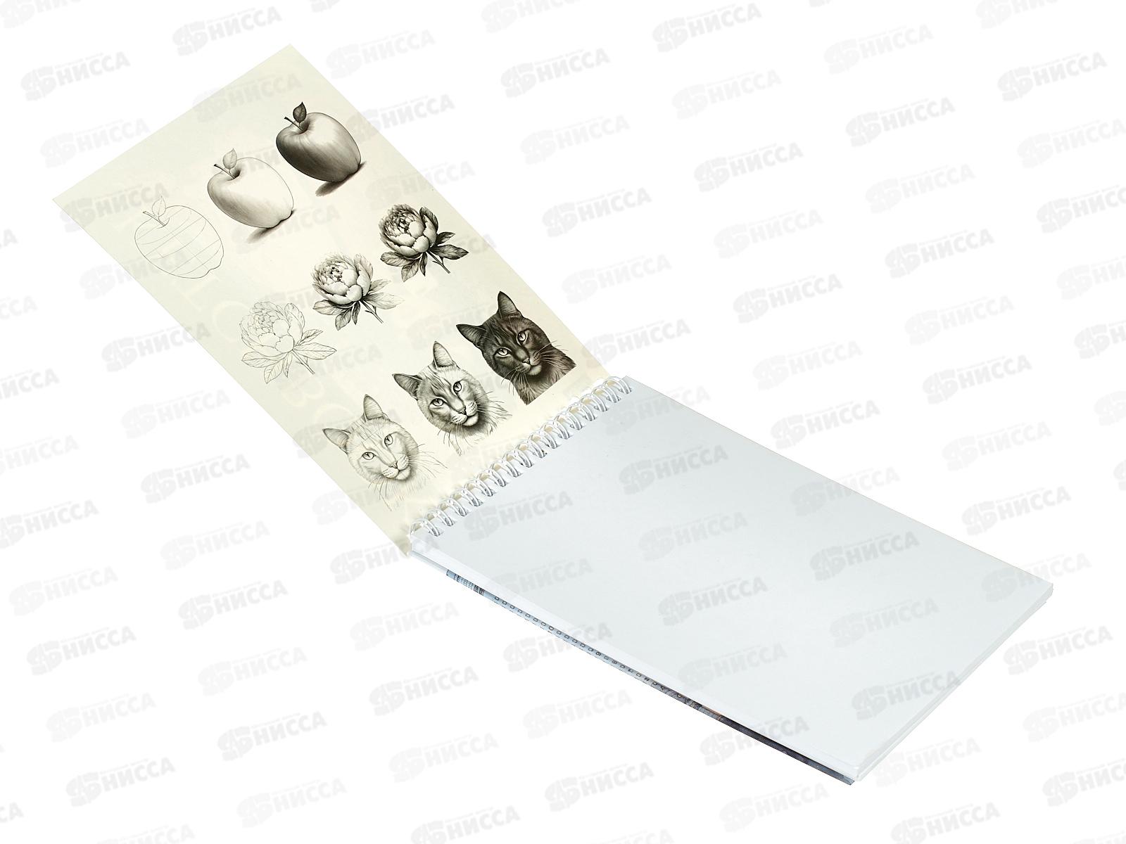 Скетчбук 32л Hatber SketchBook, Кокетка, без линовки,греб 31671 *12/48