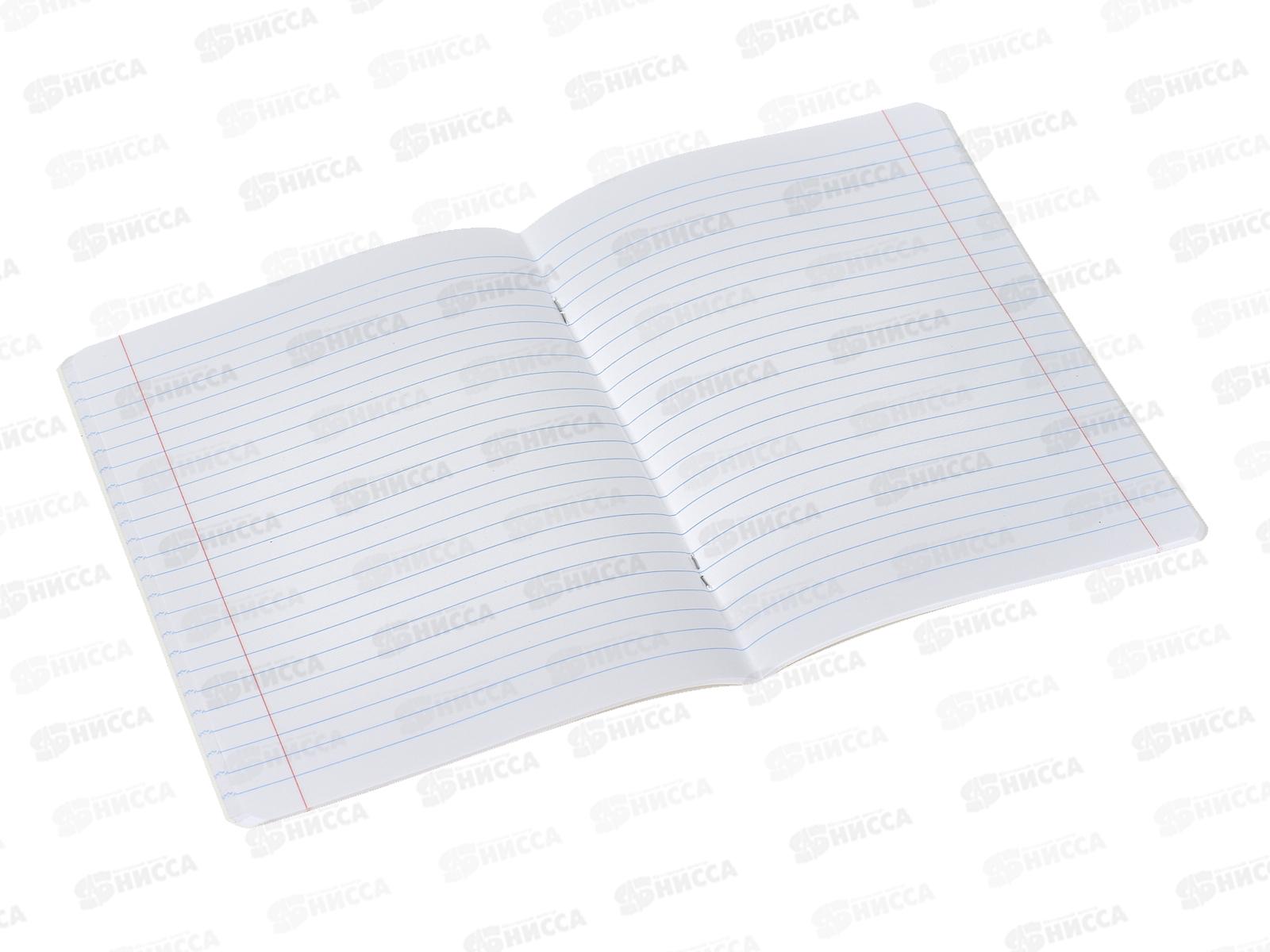 Тетрадь 48л лин. Hatber The glamour crash 5 диз. *5/100