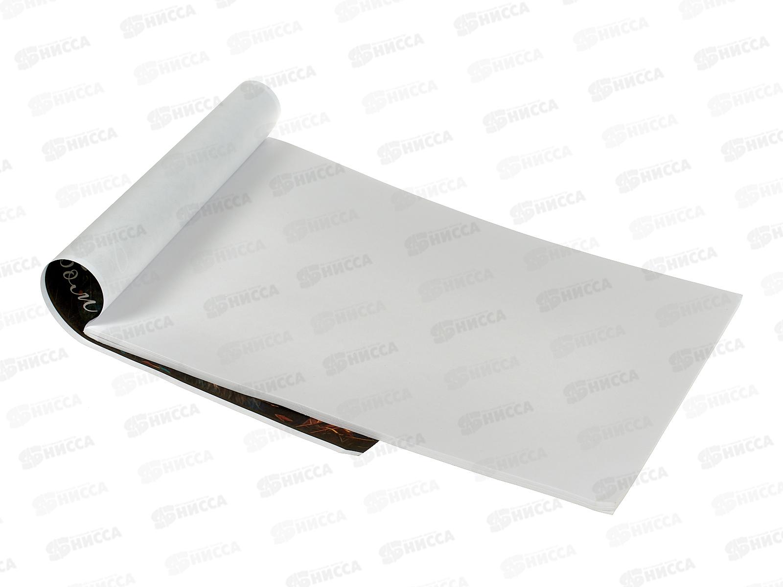 Альбом д/рис.40л Апплика, Лев, С1184-52 *30