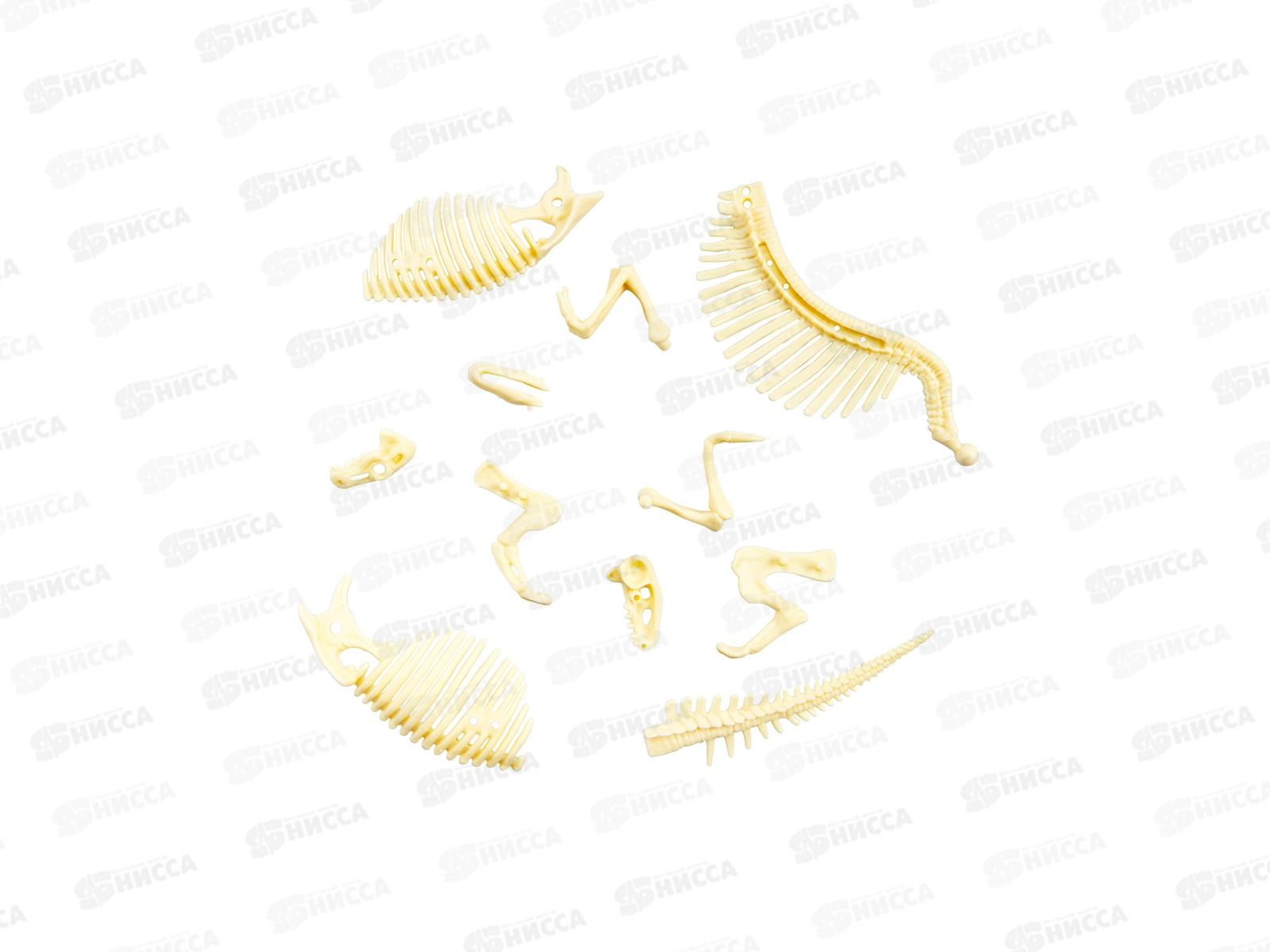 Раскопки &quotНайди окаменелости Спинозавра&quot (11 элементов) 05401