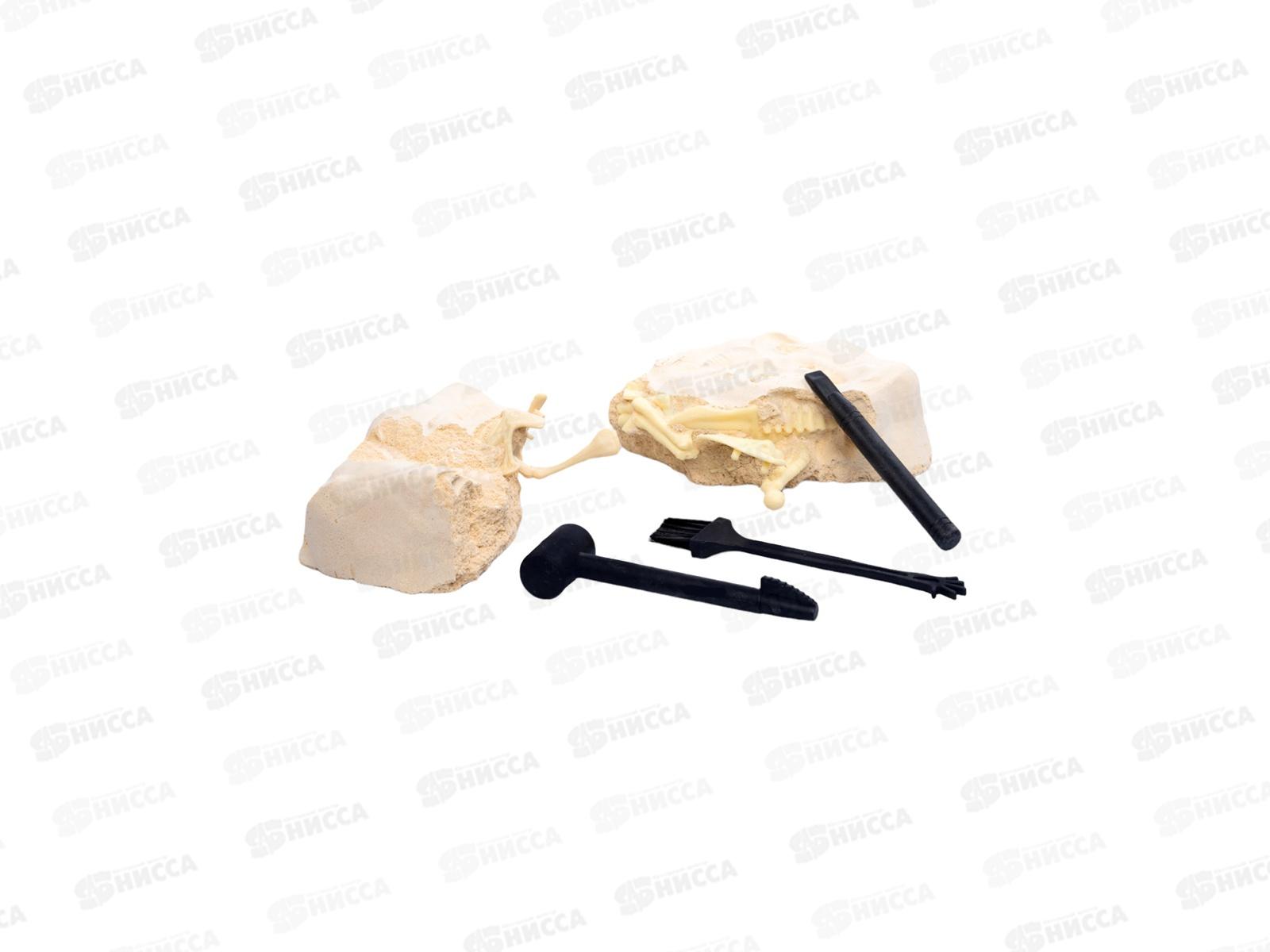 Раскопки &quotНайди окаменелости Спинозавра&quot (11 элементов) 05401