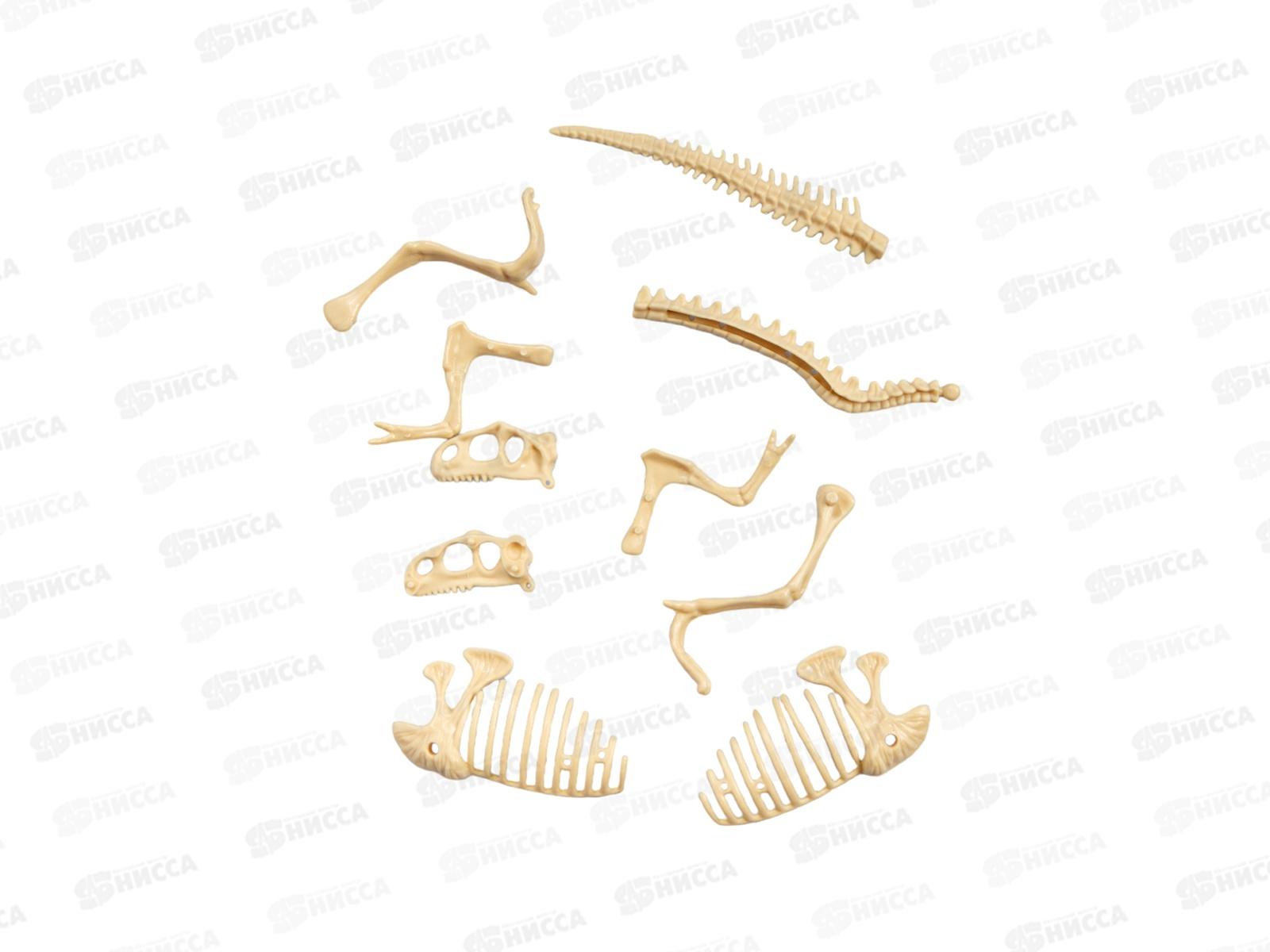 Раскопки &quotНайди окаменелости Тираннозавра&quot (11 элементов) 05399