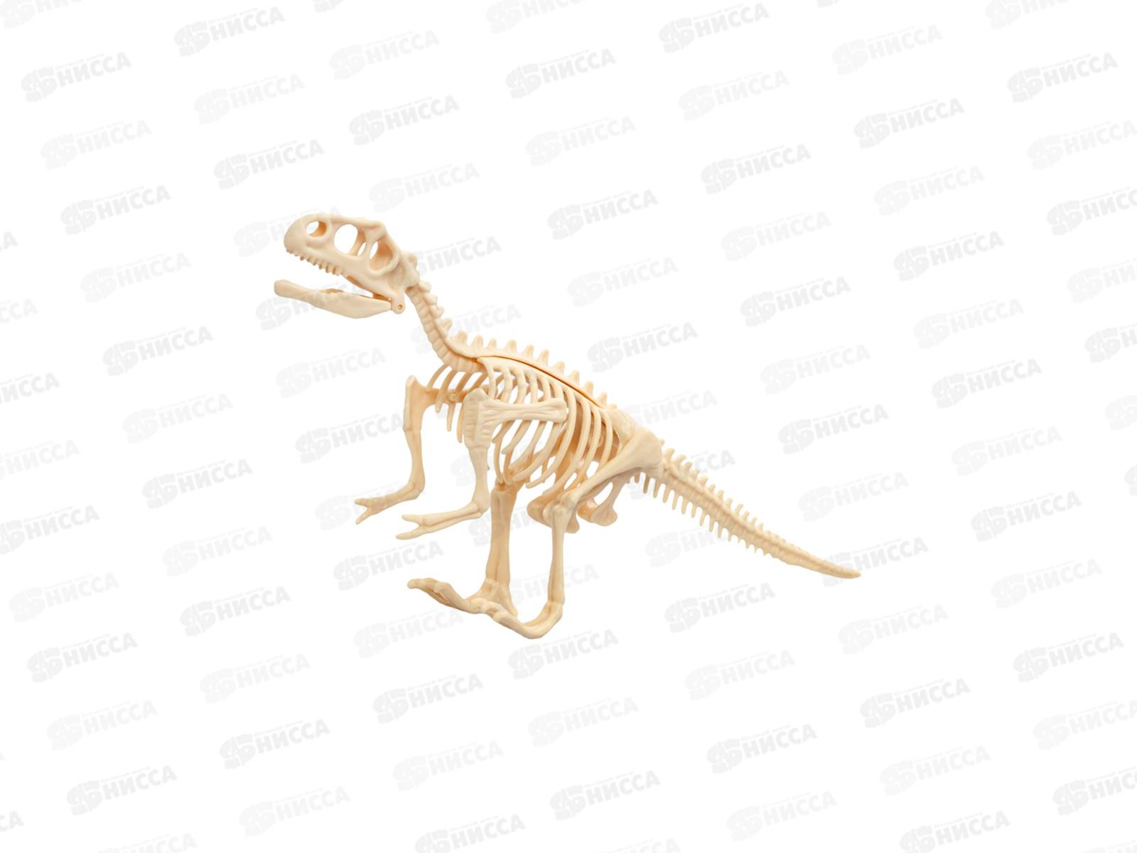 Раскопки &quotНайди окаменелости Тираннозавра&quot (11 элементов) 05399