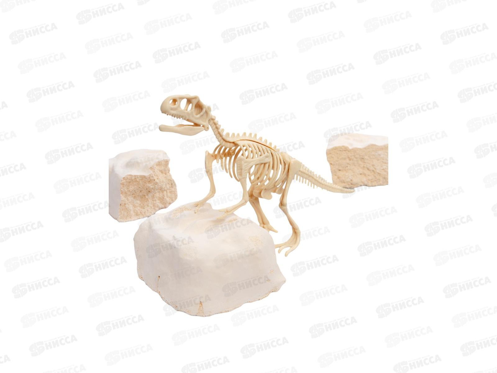 Раскопки &quotНайди окаменелости Тираннозавра&quot (11 элементов) 05399