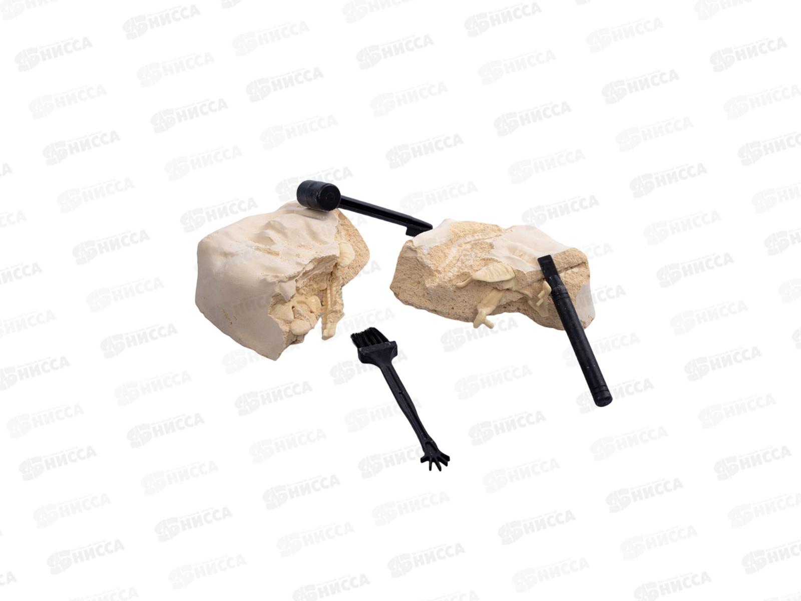 Раскопки &quotНайди окаменелости Тираннозавра&quot (11 элементов) 05399