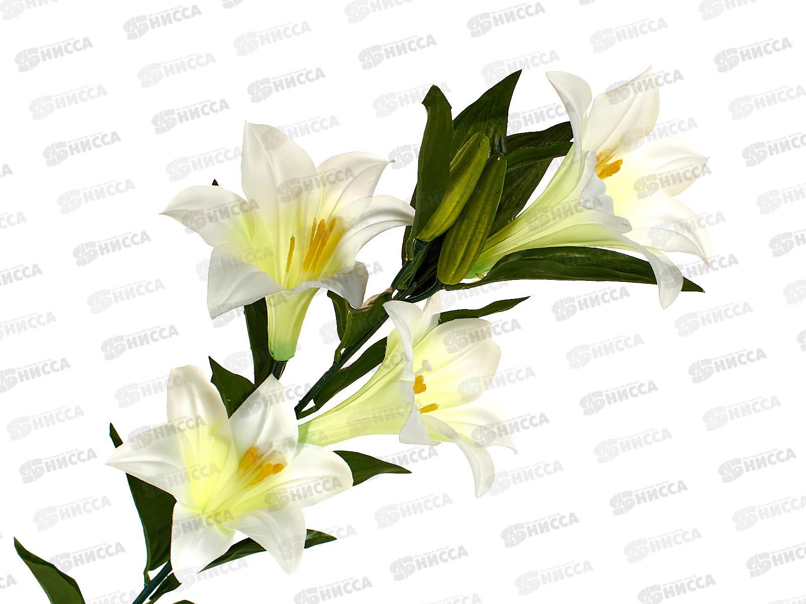 Букет 100см 4гол №25 79896  *1/300 Б