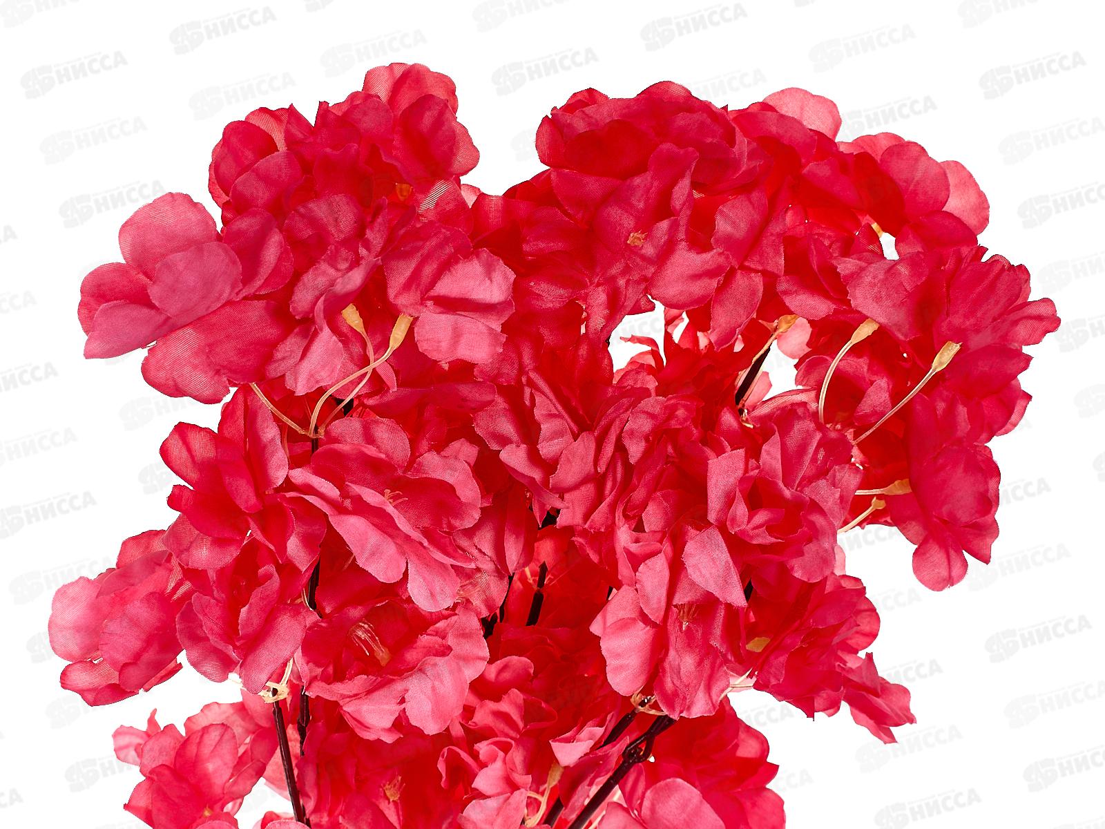 Букет 52см 5гол №154 79986 *20  Б