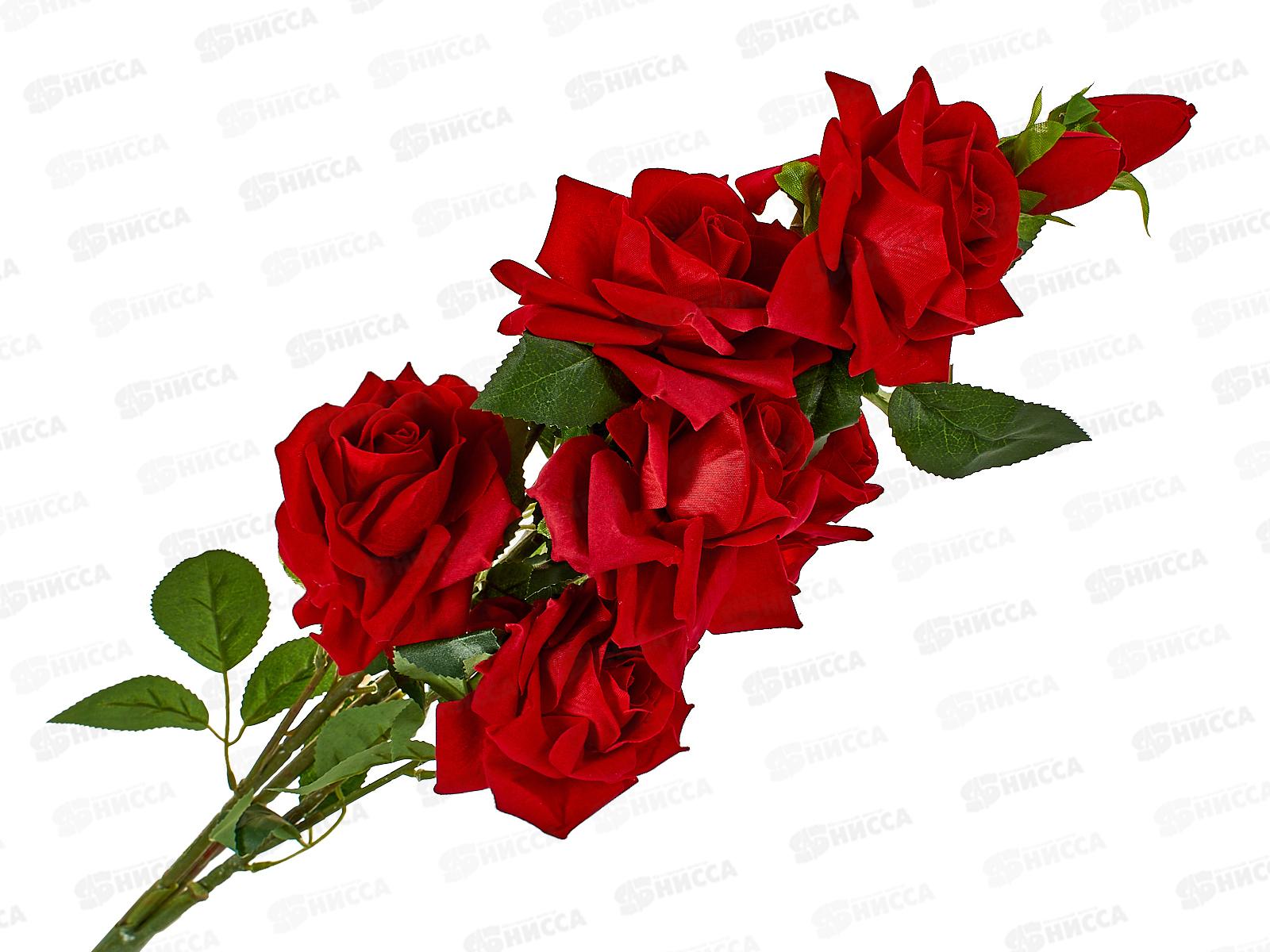 Букет 65см 8гол №78 79936 *10  Б