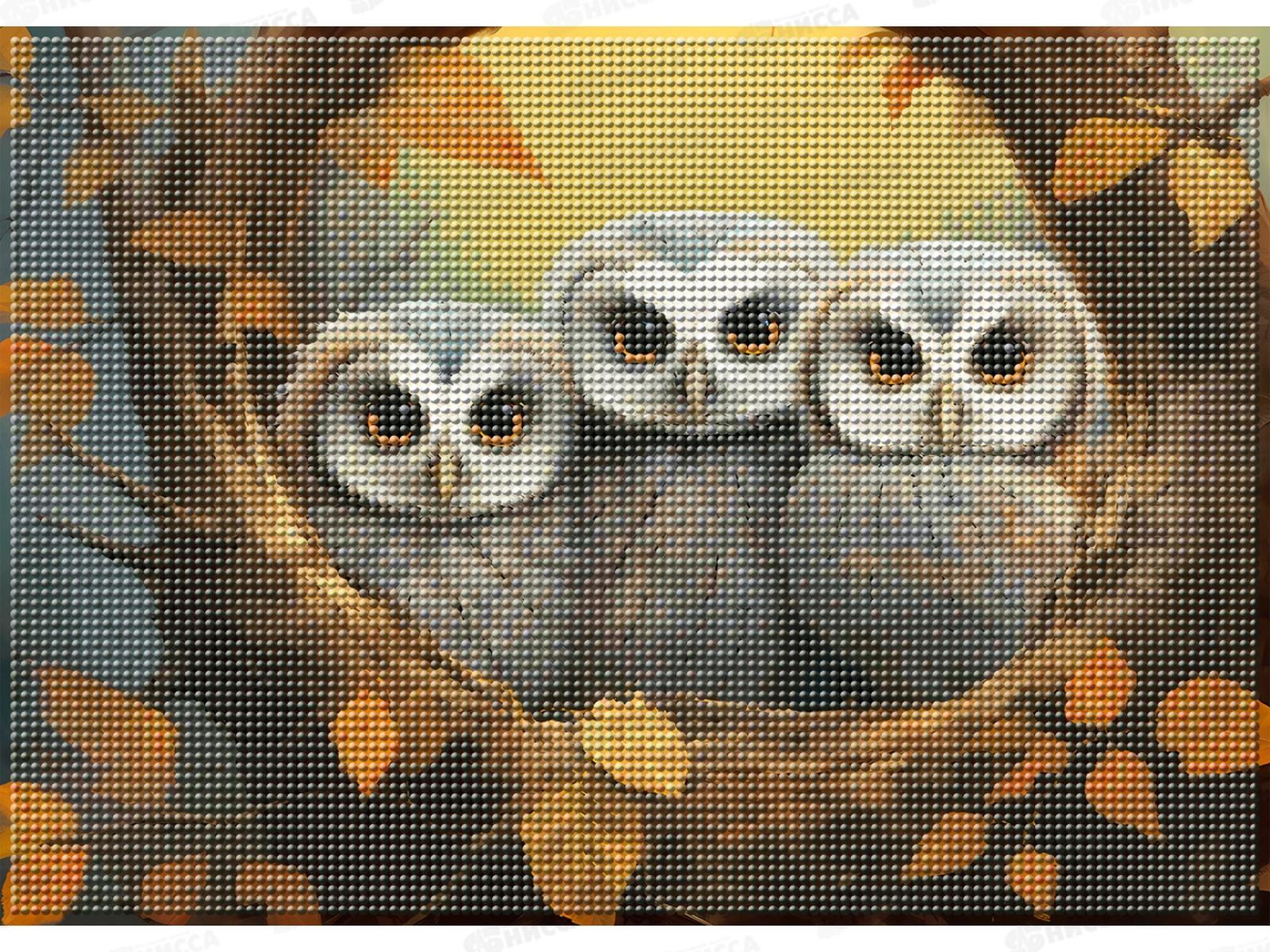 Алмазная мозаика (класс.) 30х40см Осенние совы, НД-6353