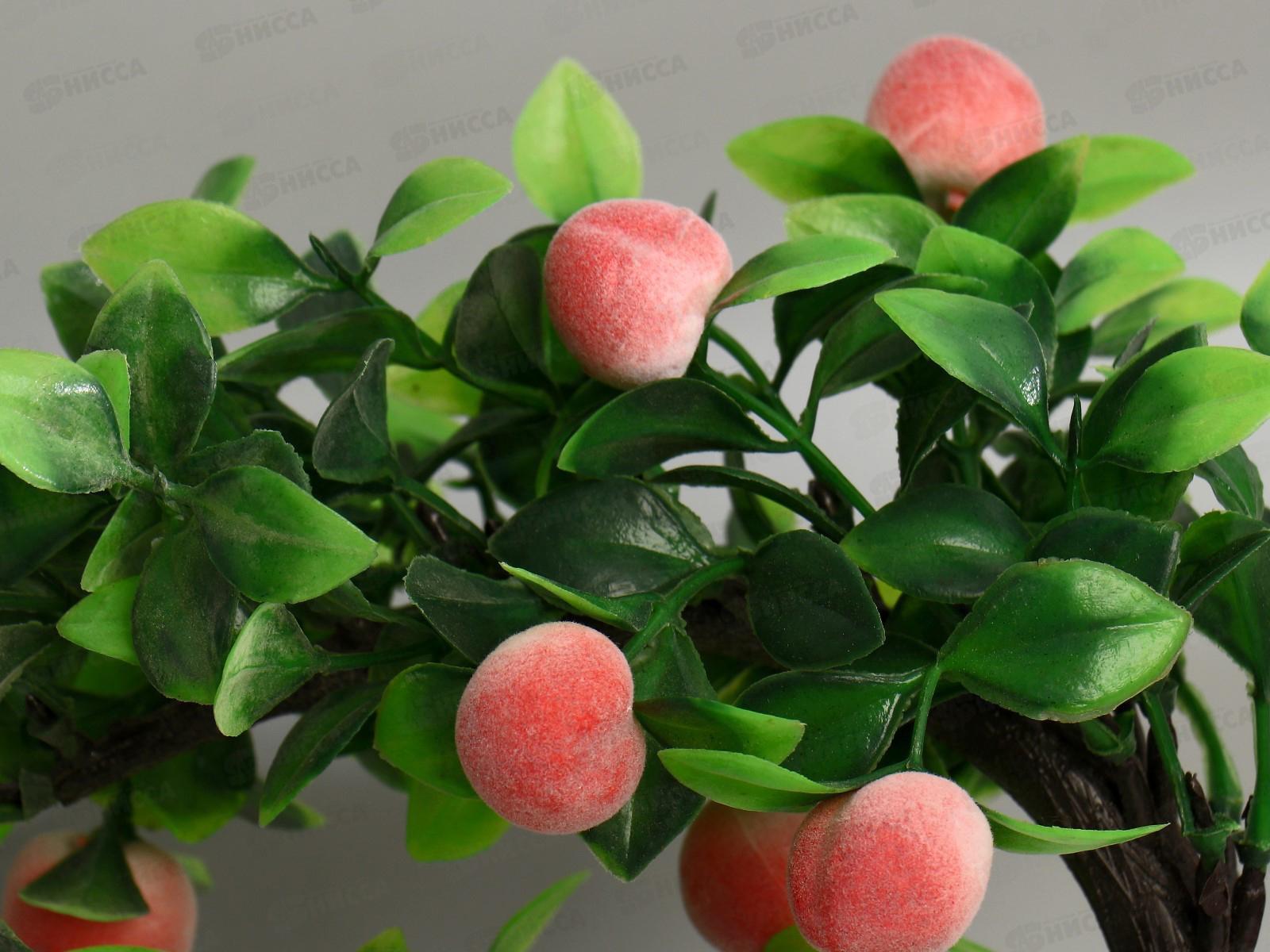 Бонсай &quotДеревце персики&quot 10*17,5см микс 4142808