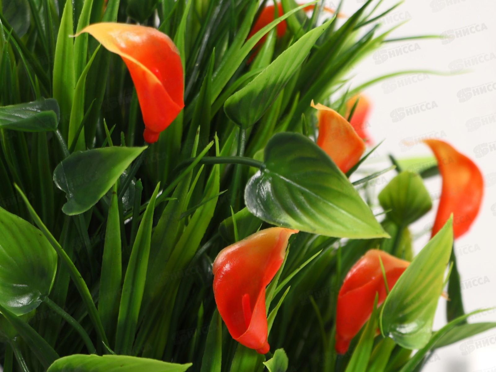 Бонсай &quotНежные каллы&quot 10*29см микс 4142822