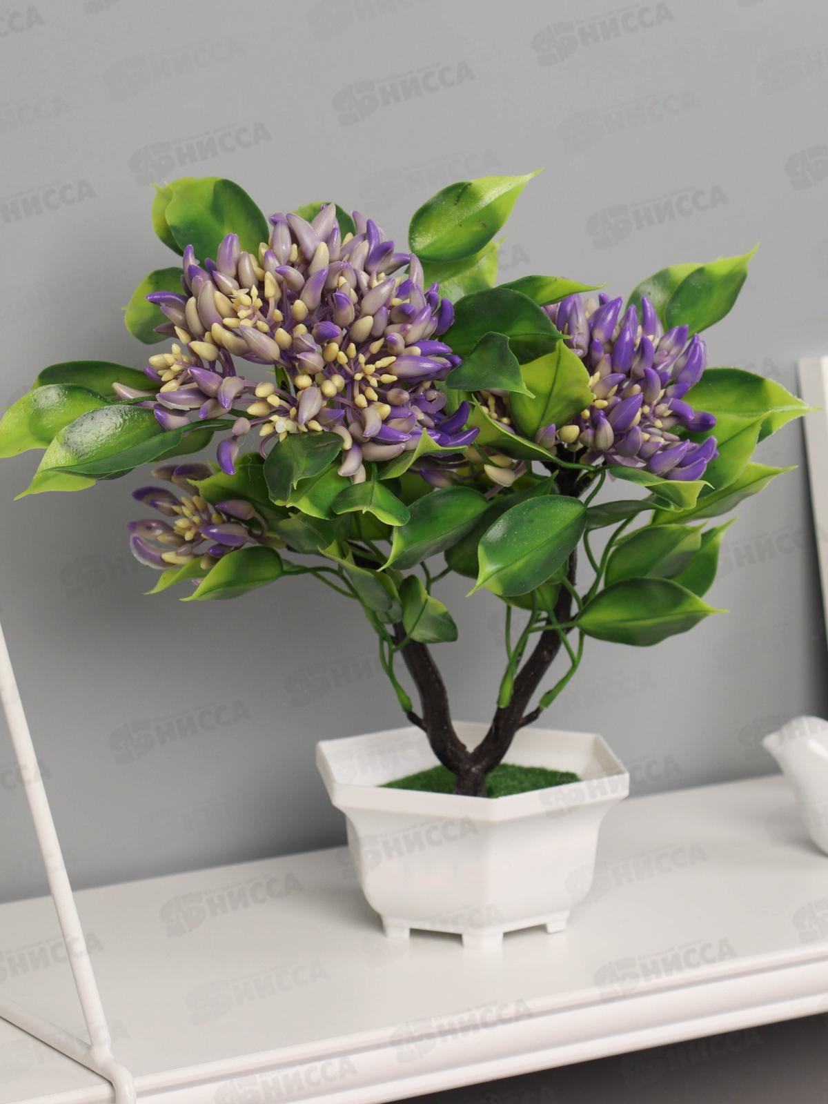 Бонсай &quotАшока комнатная&quot 23*11см микс 10455198