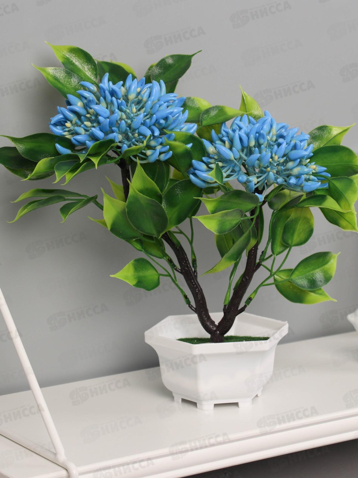 Бонсай &quotАшока комнатная&quot 23*11см микс 10455198