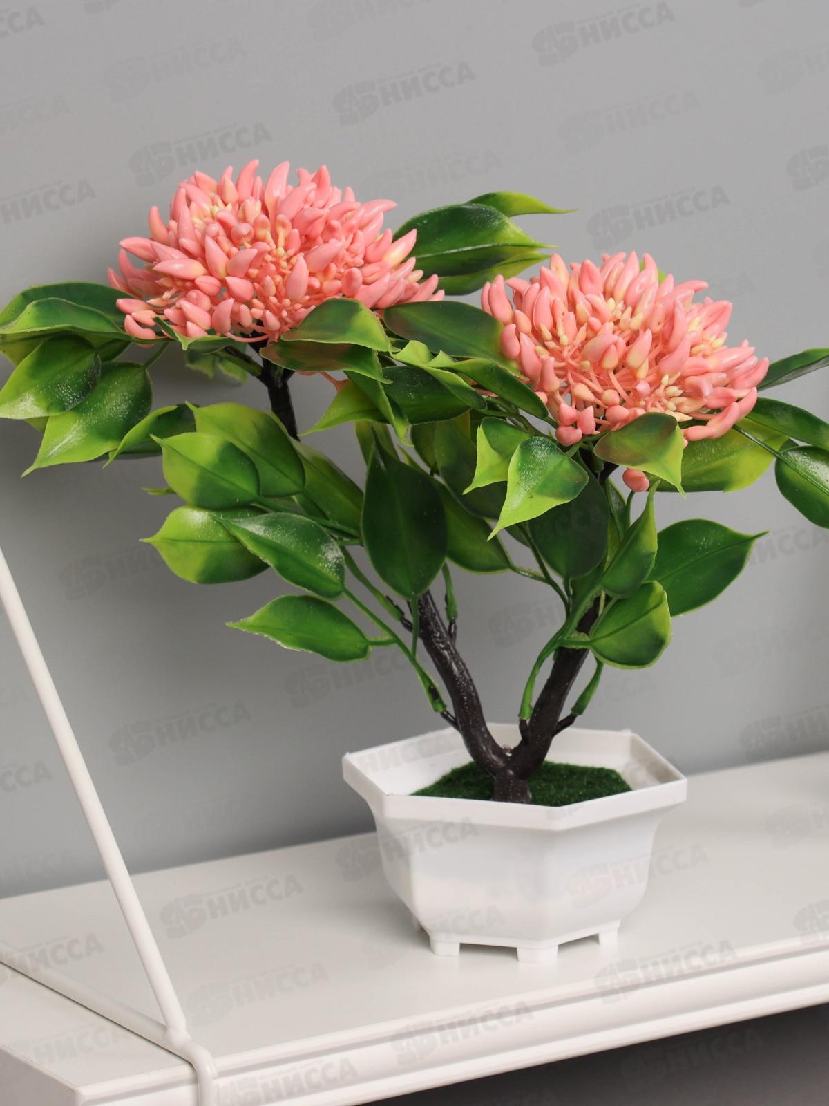 Бонсай &quotАшока комнатная&quot 23*11см микс 10455198