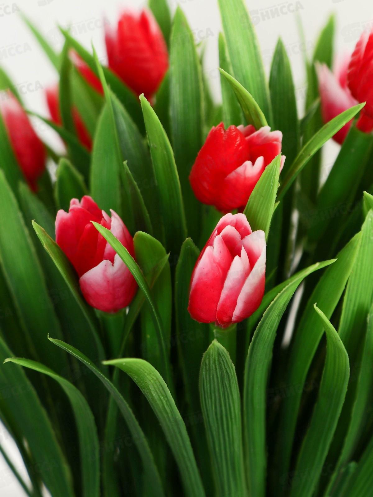 Бонсай &quotТюльпаны и зелень&quot 9*18см микс 9750512