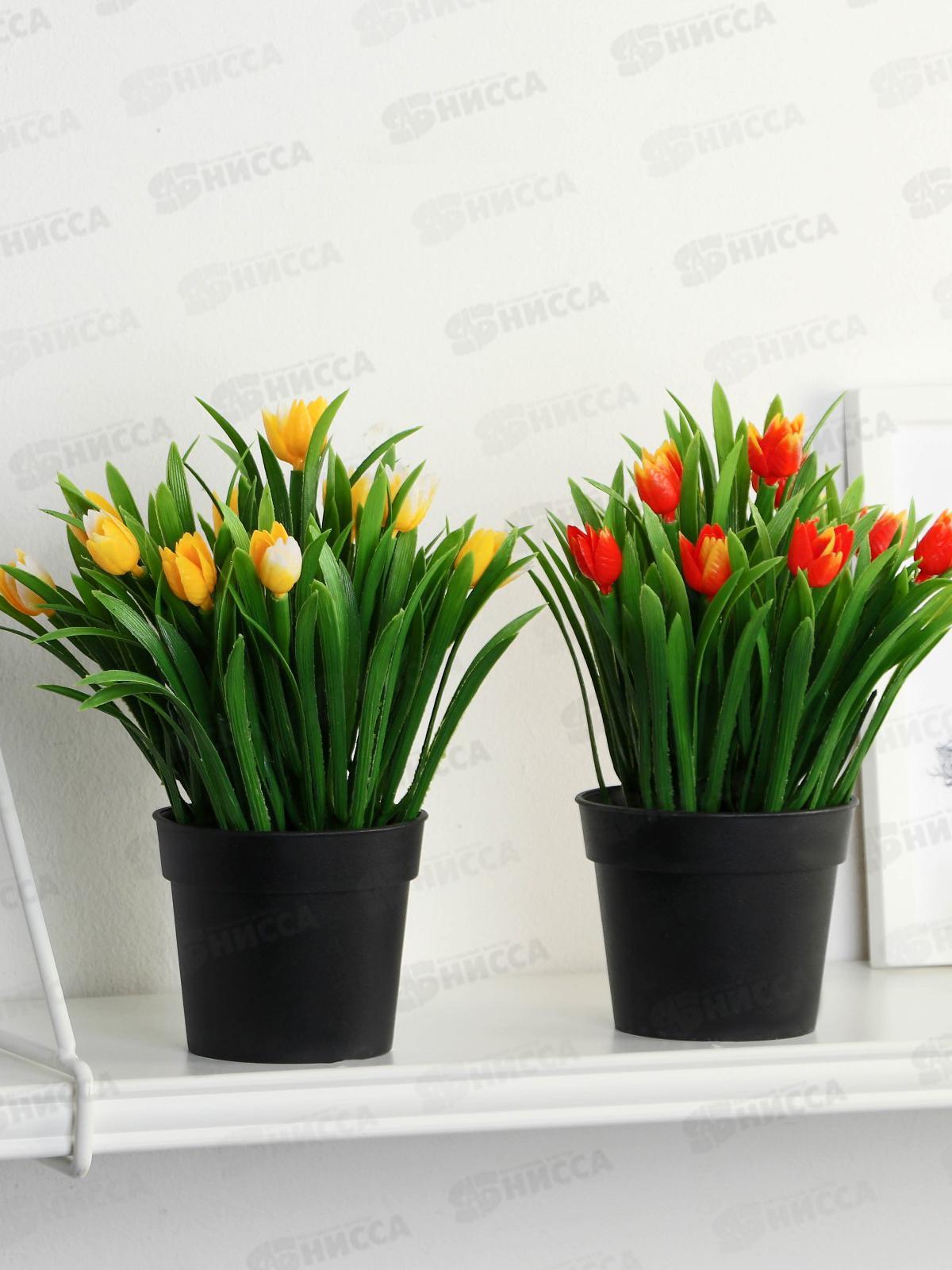 Бонсай &quotТюльпаны и зелень&quot 9*18см микс 9750512