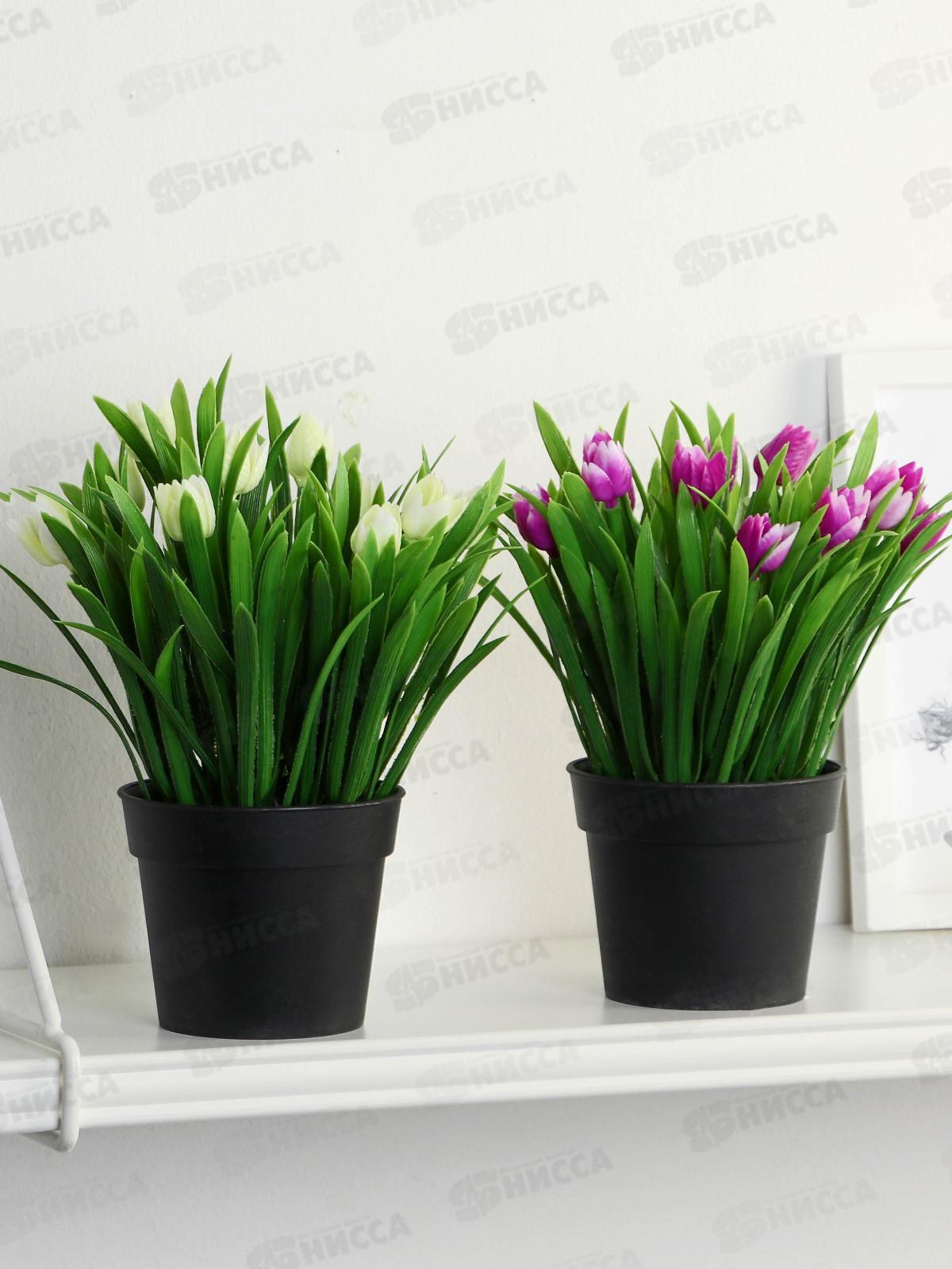 Бонсай &quotТюльпаны и зелень&quot 9*18см микс 9750512