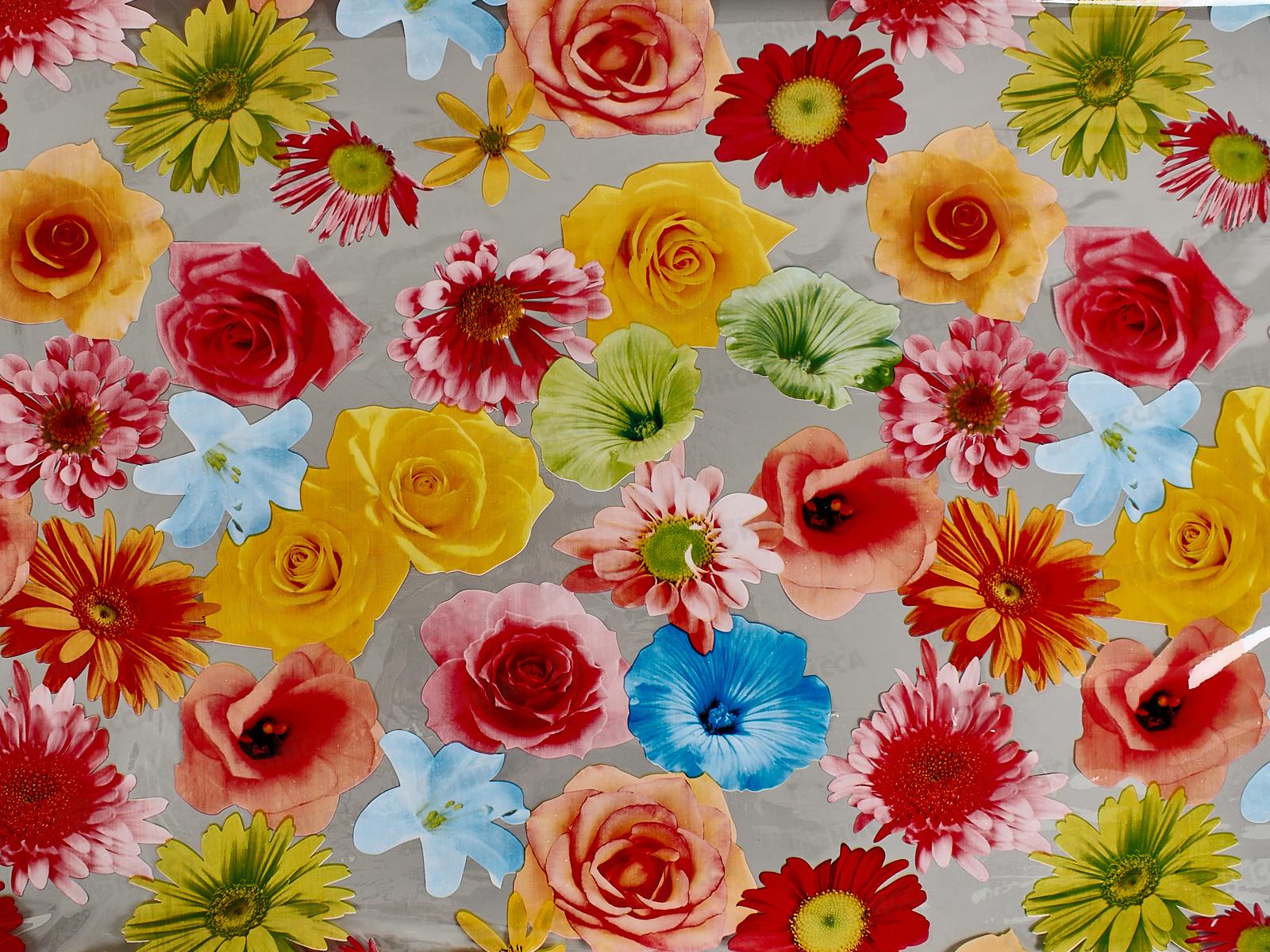 Клеенка прозрачная MIRAGE Н220В 1,37м*010мм*25м с печатью