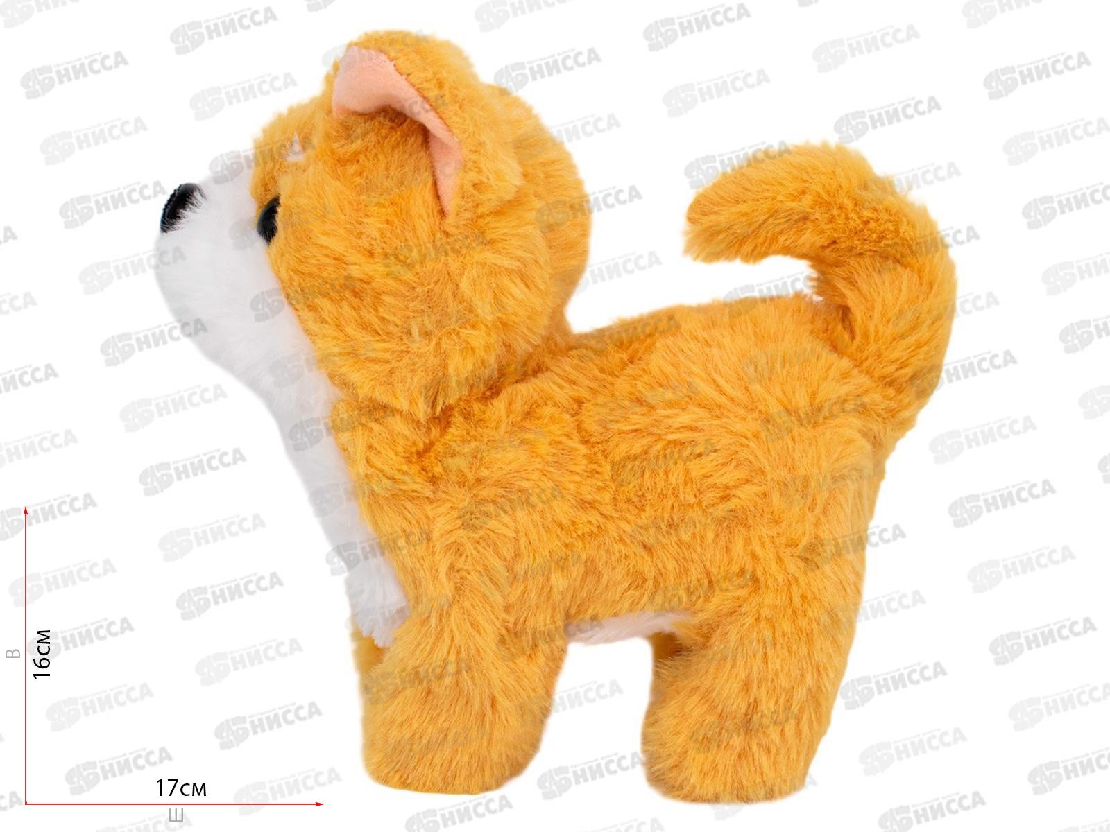 Собака Levatoys на бат. Моя лапатуля FCJ0918836 в коробке